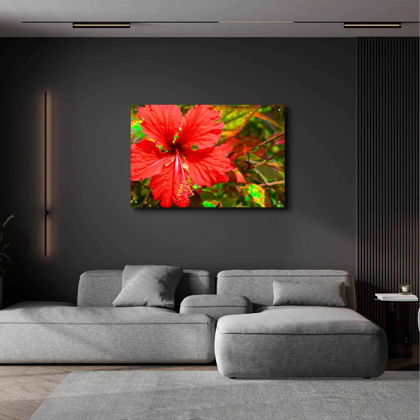 Epic Art ' Red Hibiscus' by Don Spears, Acrylic Glass Wall Art,36x24