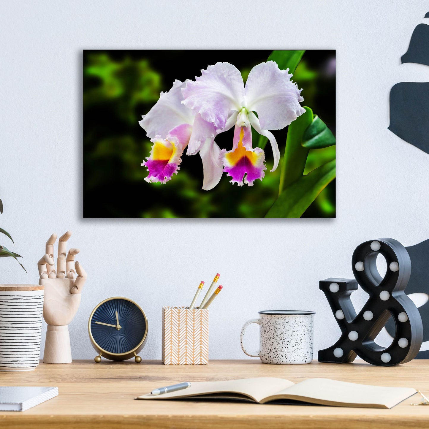 Epic Art ' White, Yellow and Fuchsia Orchids' by Don Spears, Acrylic Glass Wall Art,16x12