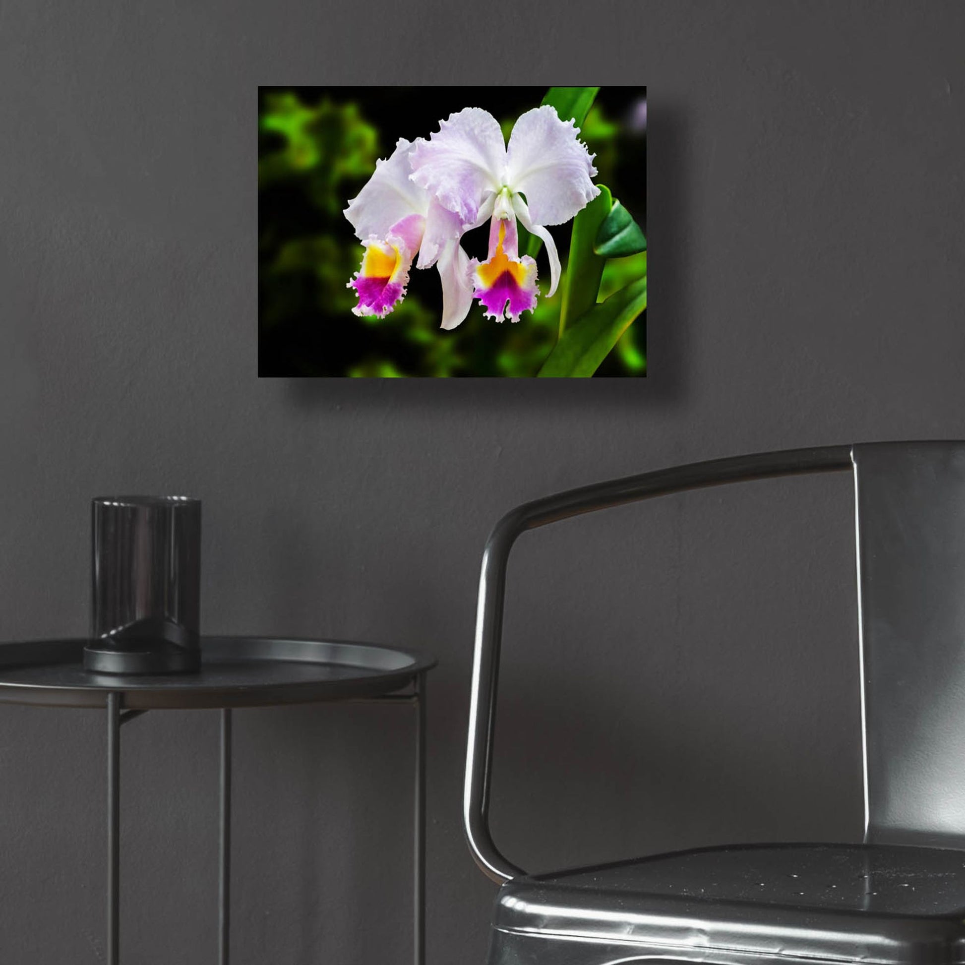 Epic Art ' White, Yellow and Fuchsia Orchids' by Don Spears, Acrylic Glass Wall Art,16x12