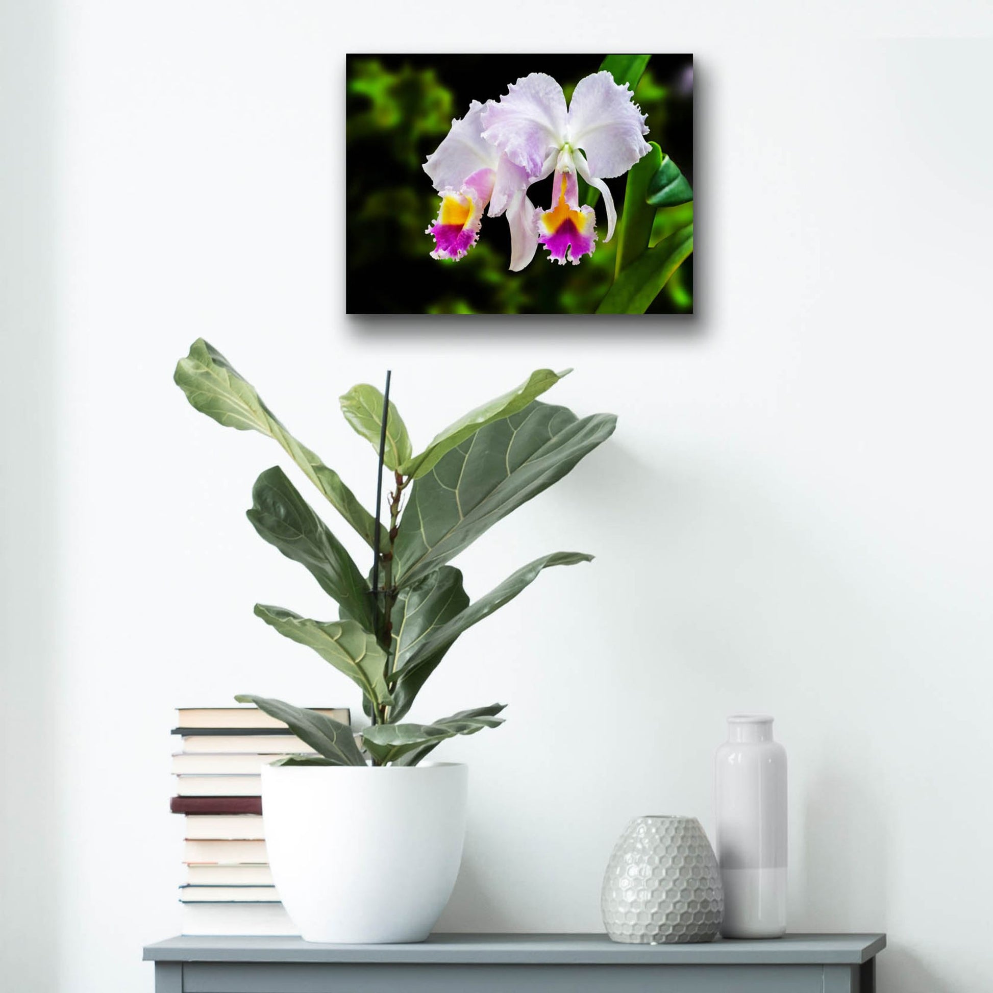 Epic Art ' White, Yellow and Fuchsia Orchids' by Don Spears, Acrylic Glass Wall Art,16x12