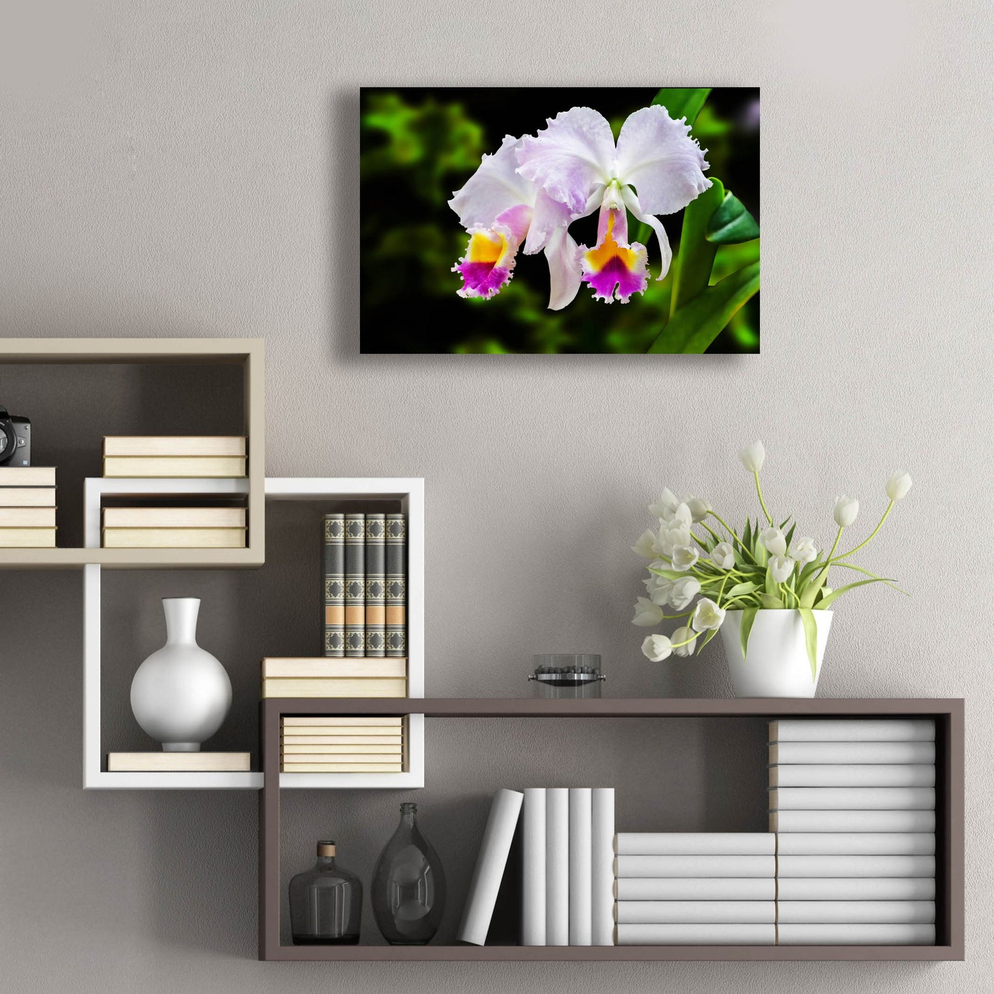 Epic Art ' White, Yellow and Fuchsia Orchids' by Don Spears, Acrylic Glass Wall Art,24x16