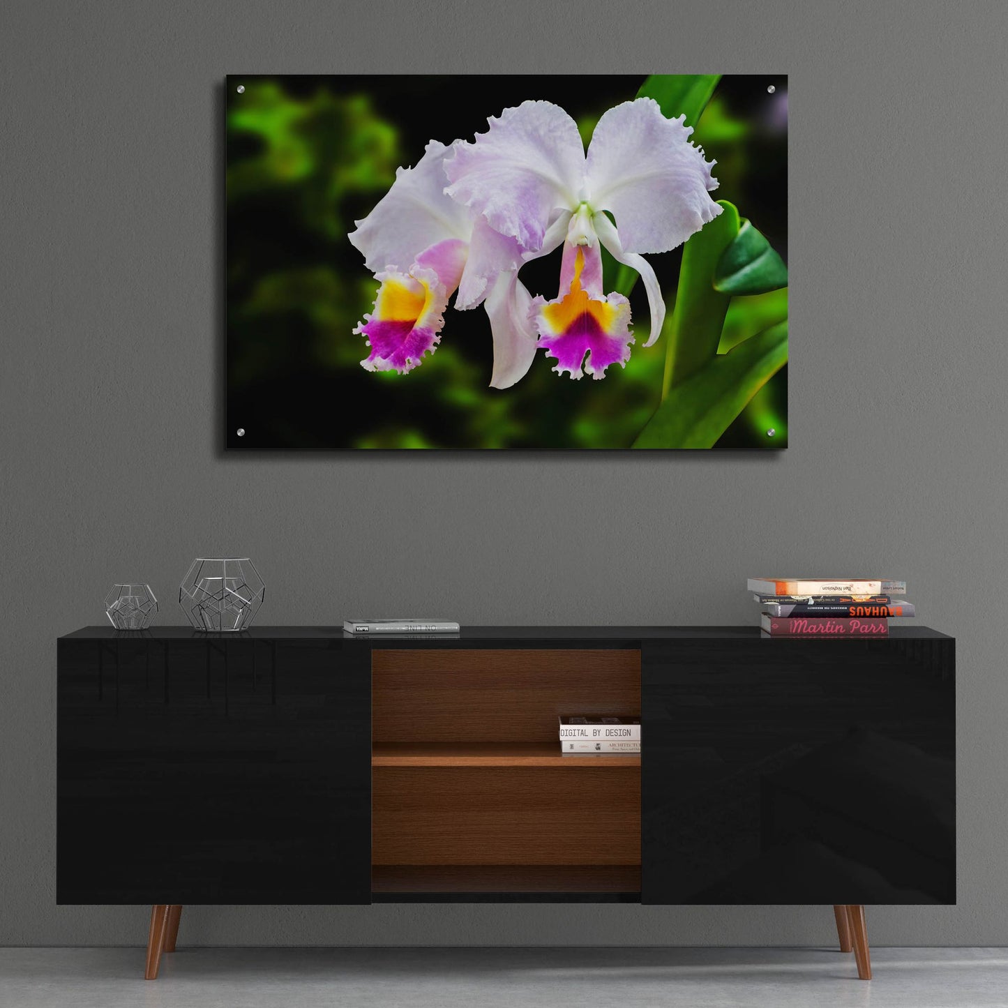 Epic Art ' White, Yellow and Fuchsia Orchids' by Don Spears, Acrylic Glass Wall Art,36x24