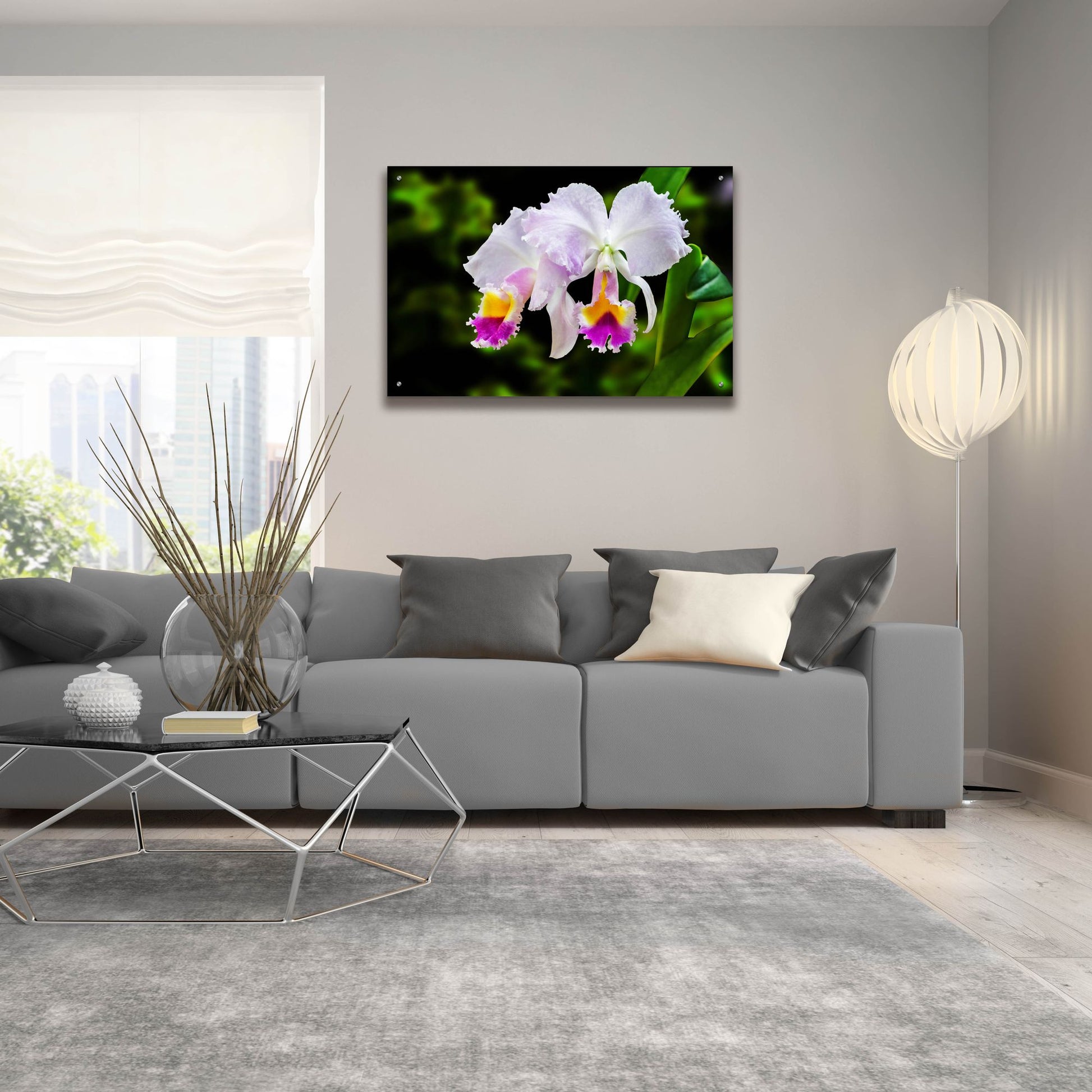 Epic Art ' White, Yellow and Fuchsia Orchids' by Don Spears, Acrylic Glass Wall Art,36x24