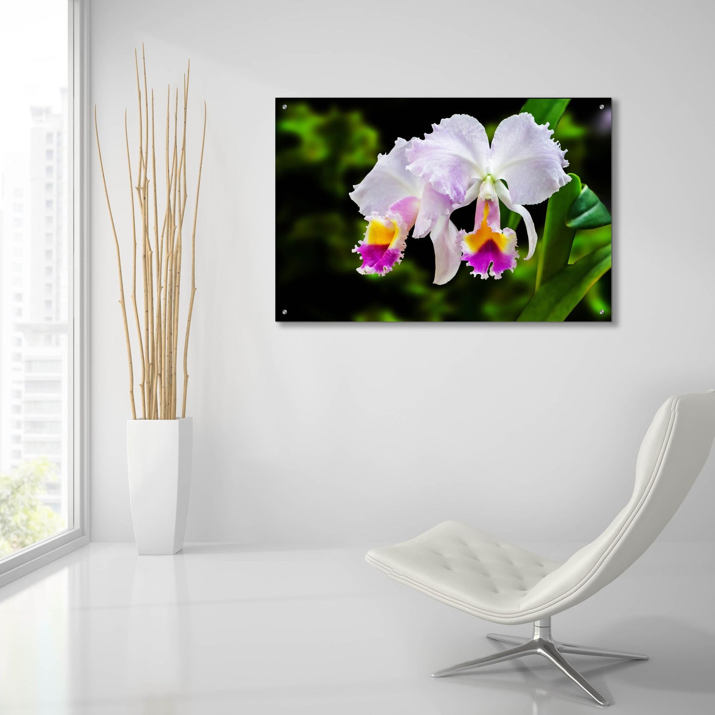 Epic Art ' White, Yellow and Fuchsia Orchids' by Don Spears, Acrylic Glass Wall Art,36x24