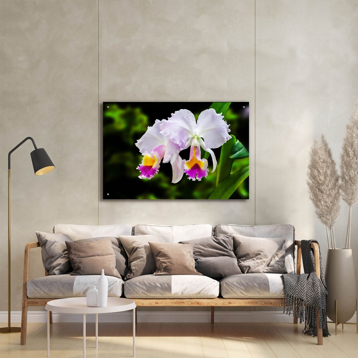 Epic Art ' White, Yellow and Fuchsia Orchids' by Don Spears, Acrylic Glass Wall Art,36x24