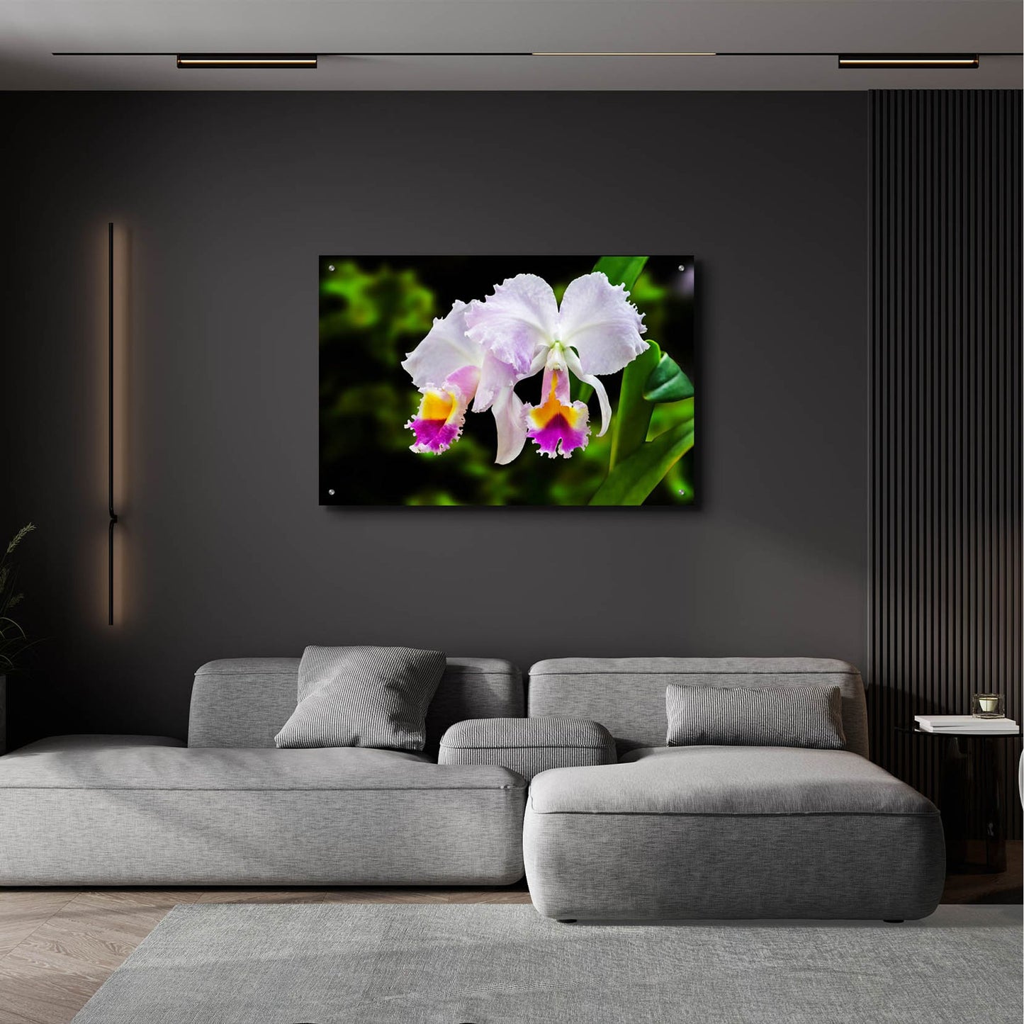 Epic Art ' White, Yellow and Fuchsia Orchids' by Don Spears, Acrylic Glass Wall Art,36x24