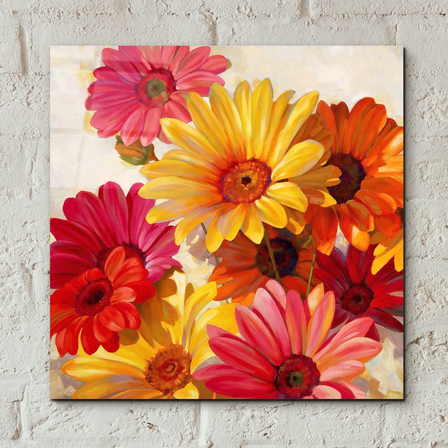 Epic Art ' Daisies for Spring' by Emma Styles, Acrylic Glass Wall Art,12x12