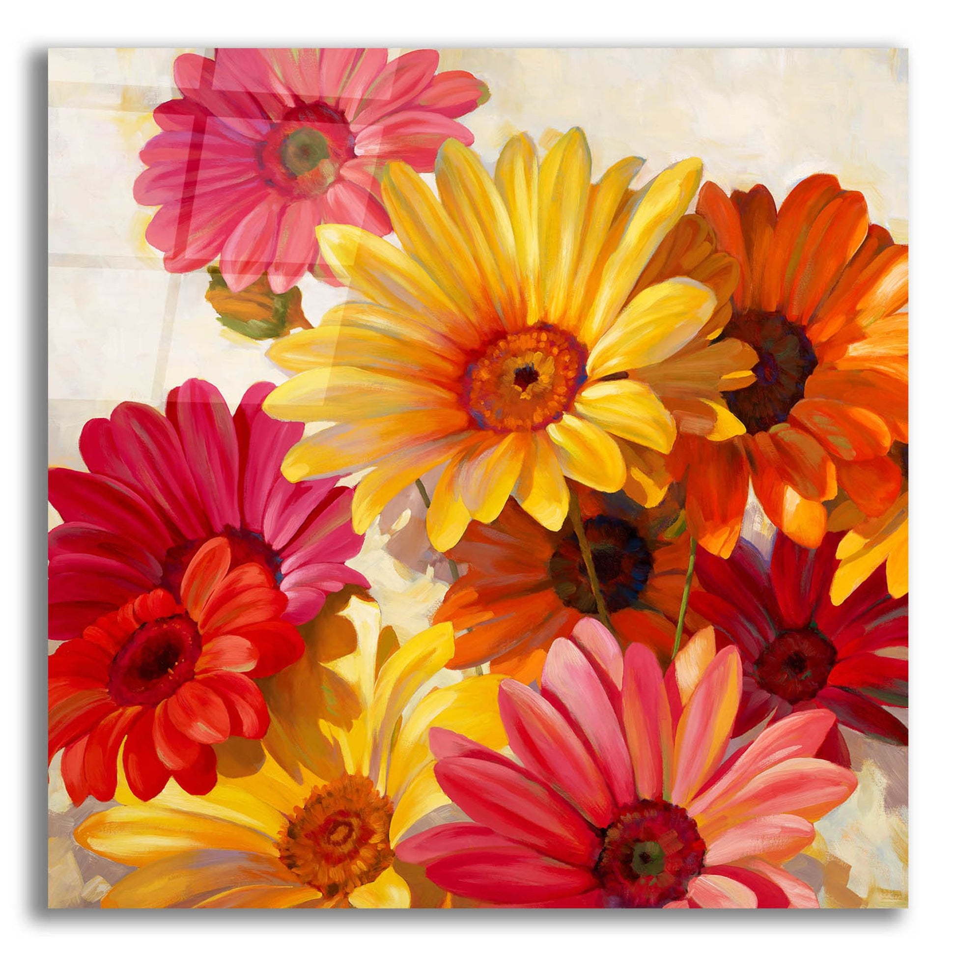 Epic Art ' Daisies for Spring' by Emma Styles, Acrylic Glass Wall Art,12x12