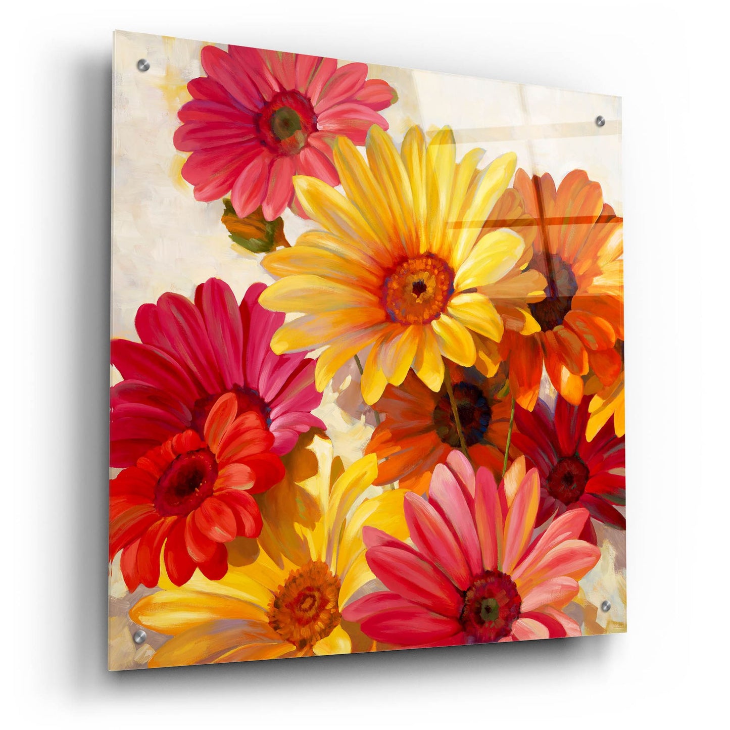 Epic Art ' Daisies for Spring' by Emma Styles, Acrylic Glass Wall Art,24x24