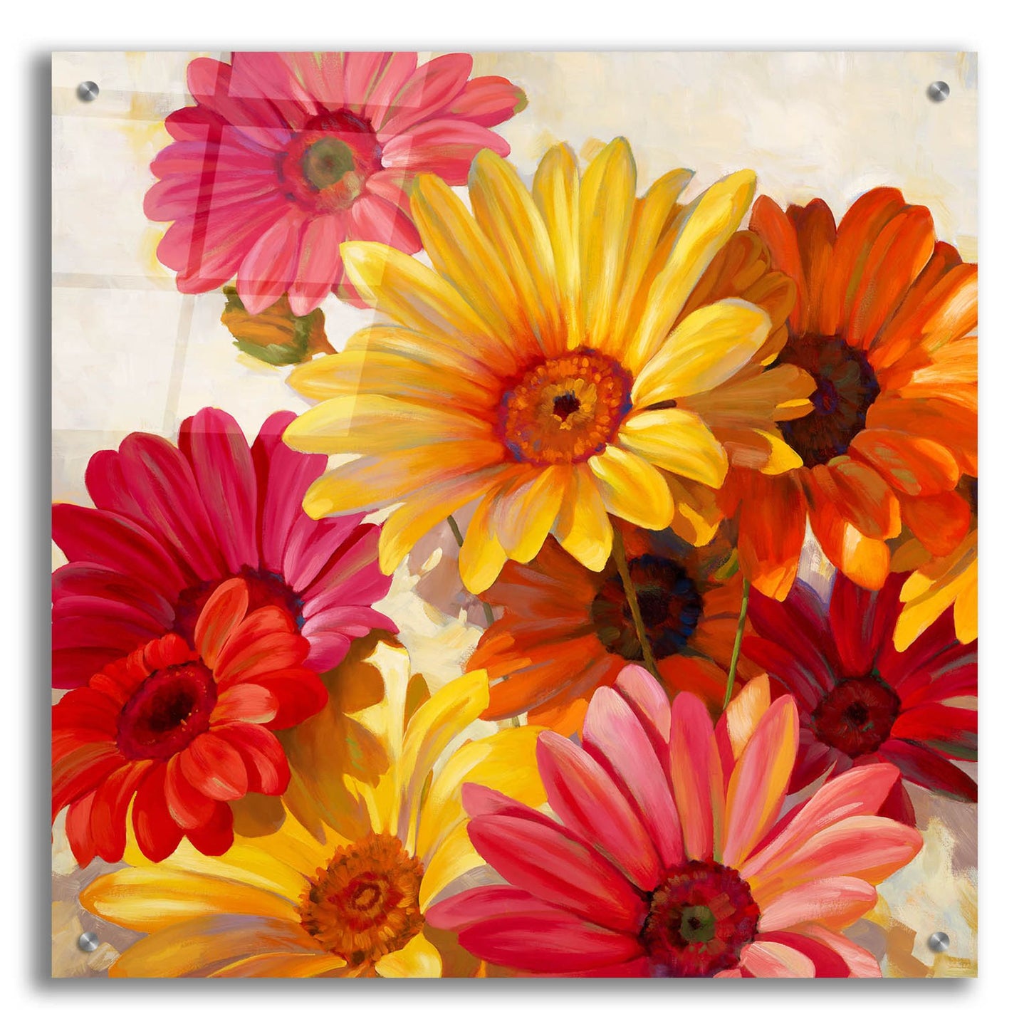 Epic Art ' Daisies for Spring' by Emma Styles, Acrylic Glass Wall Art,24x24