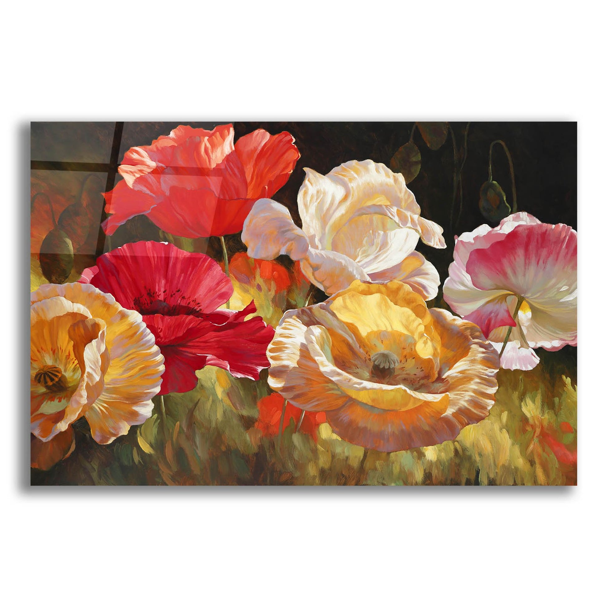 Epic Art ' Poppy Celebration' by Emma Styles, Acrylic Glass Wall Art,16x12