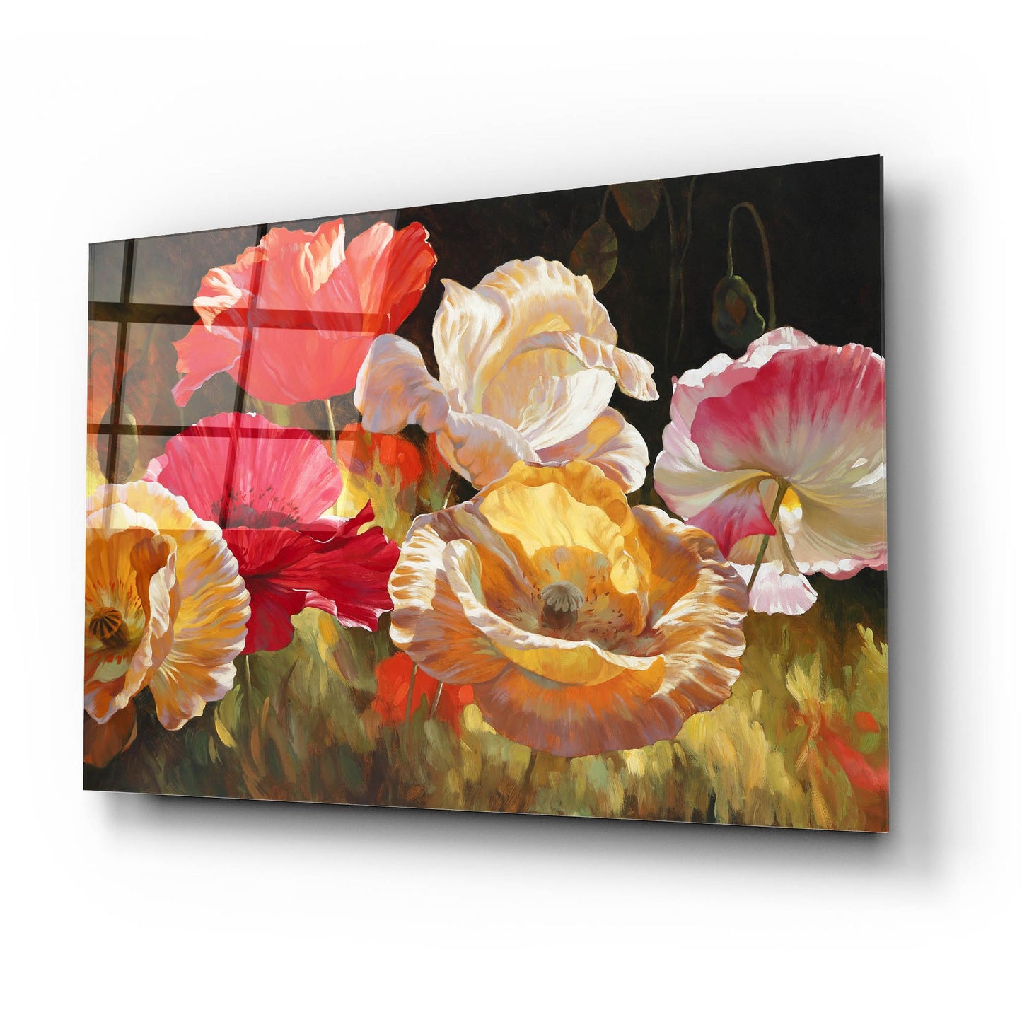 Epic Art ' Poppy Celebration' by Emma Styles, Acrylic Glass Wall Art,24x16