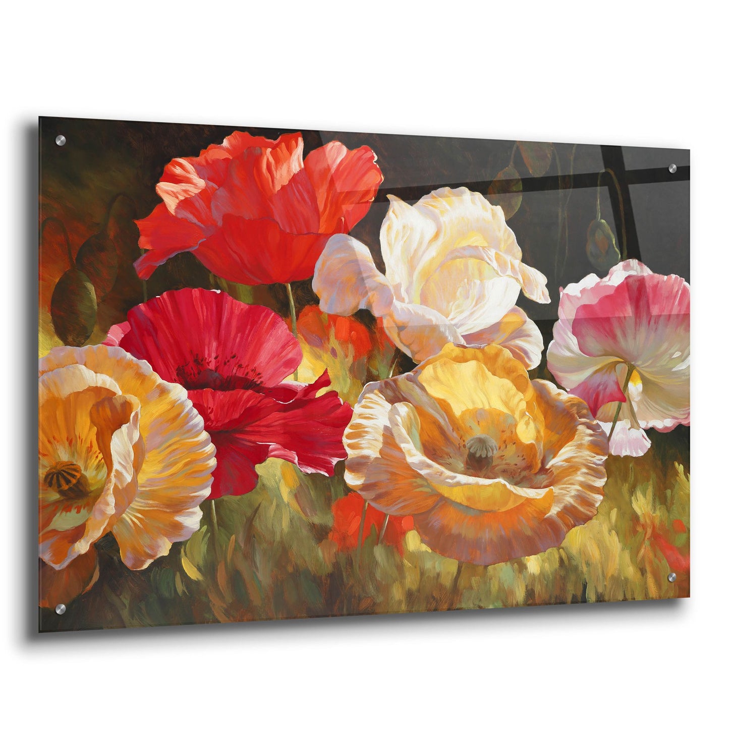 Epic Art ' Poppy Celebration' by Emma Styles, Acrylic Glass Wall Art,36x24