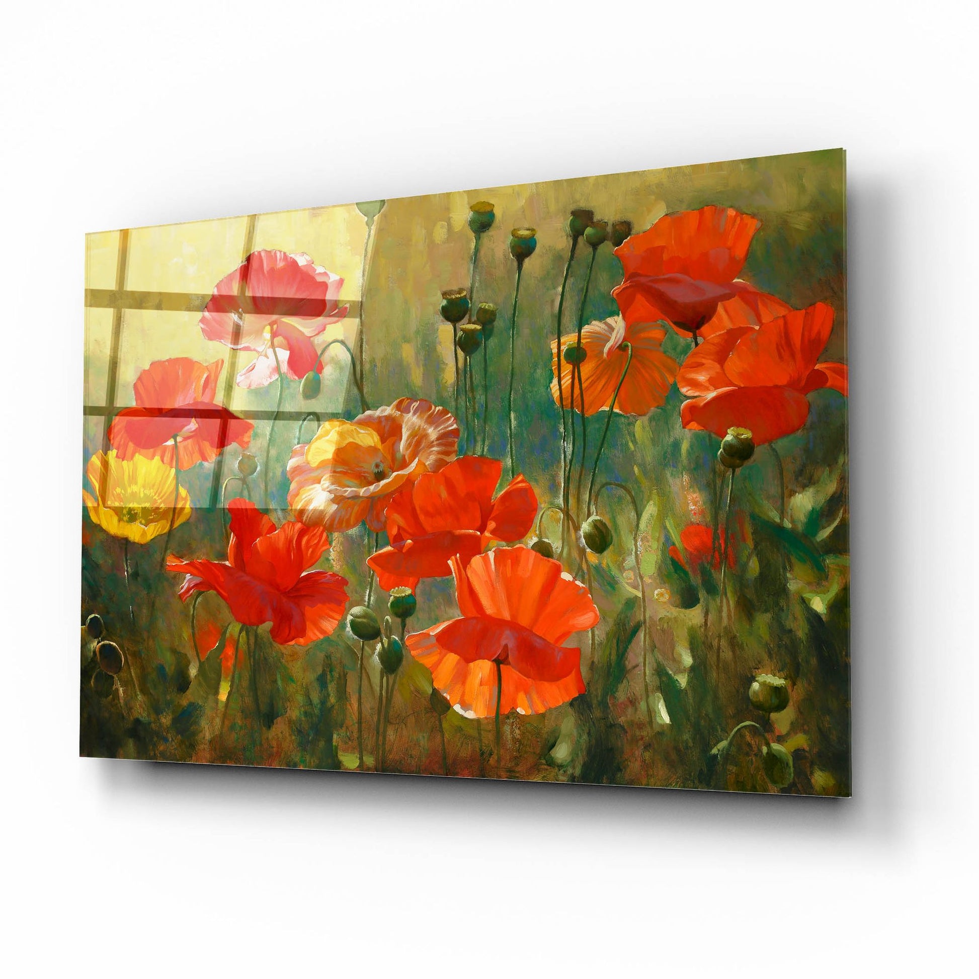 Epic Art ' Poppy Fields' by Emma Styles, Acrylic Glass Wall Art,16x12