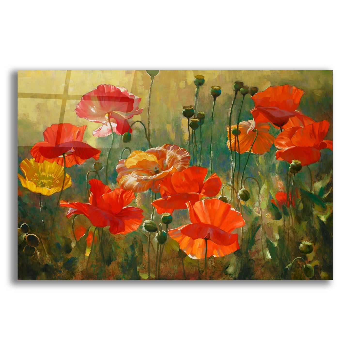 Epic Art ' Poppy Fields' by Emma Styles, Acrylic Glass Wall Art,16x12