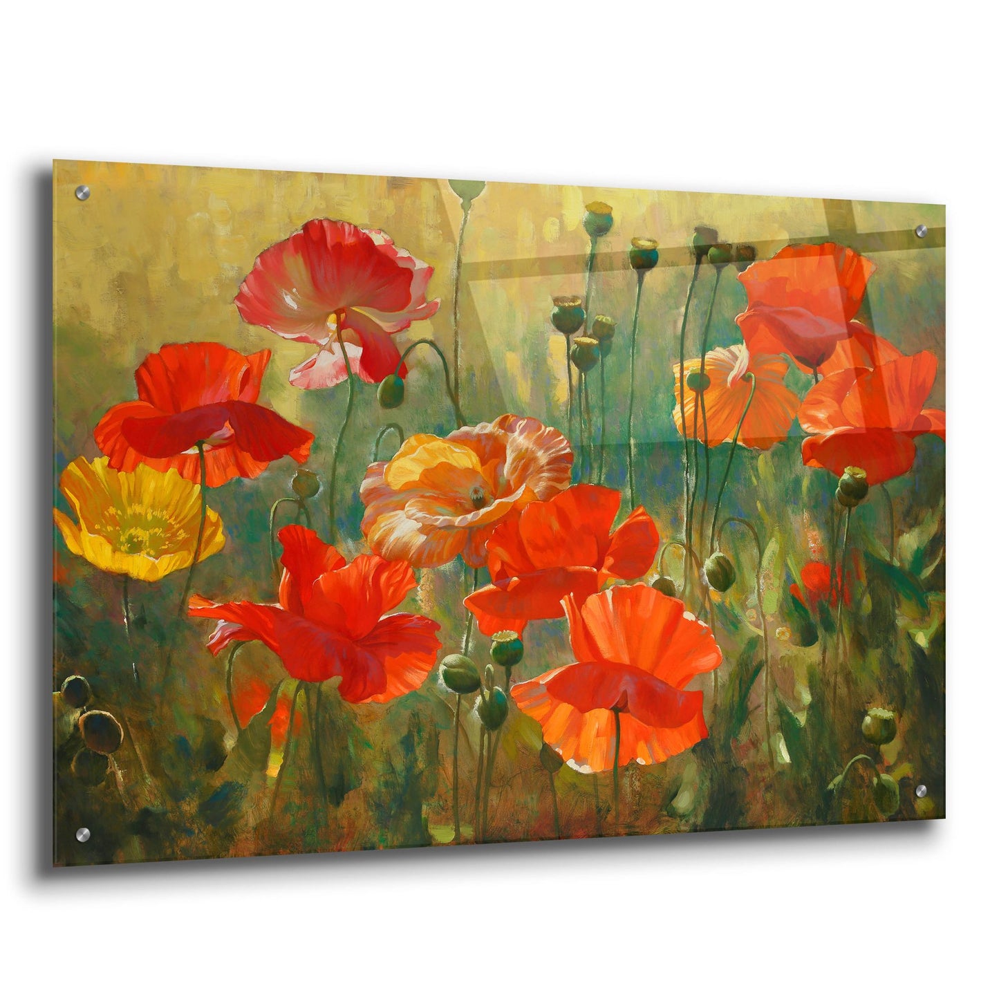 Epic Art ' Poppy Fields' by Emma Styles, Acrylic Glass Wall Art,36x24