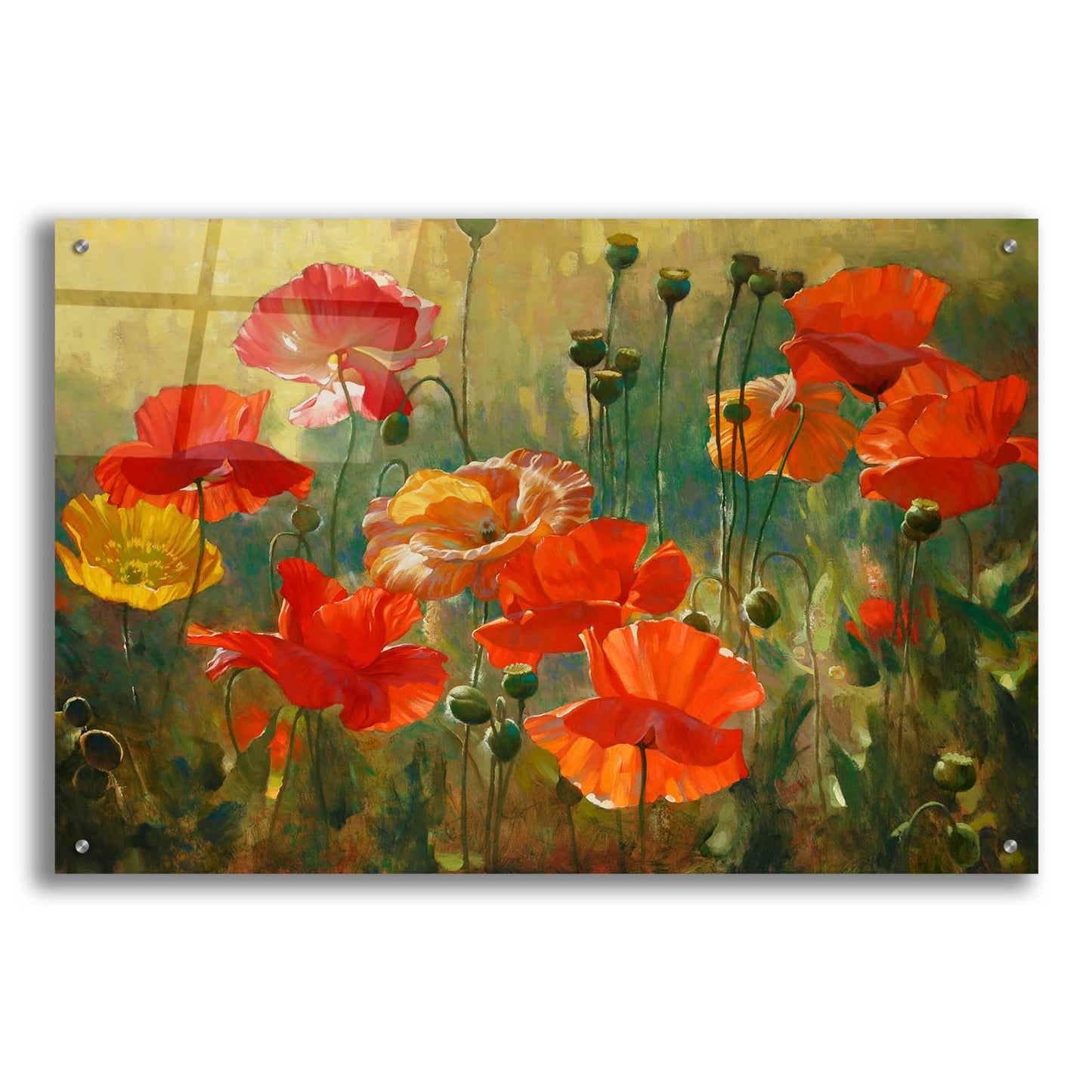 Epic Art ' Poppy Fields' by Emma Styles, Acrylic Glass Wall Art,36x24