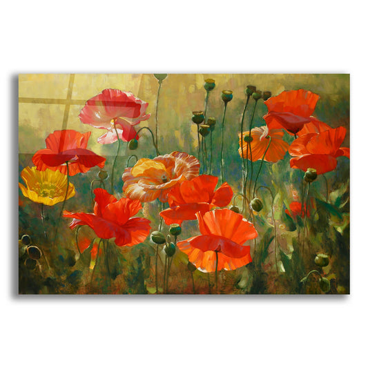 Epic Art ' Poppy Fields' by Emma Styles, Acrylic Glass Wall Art