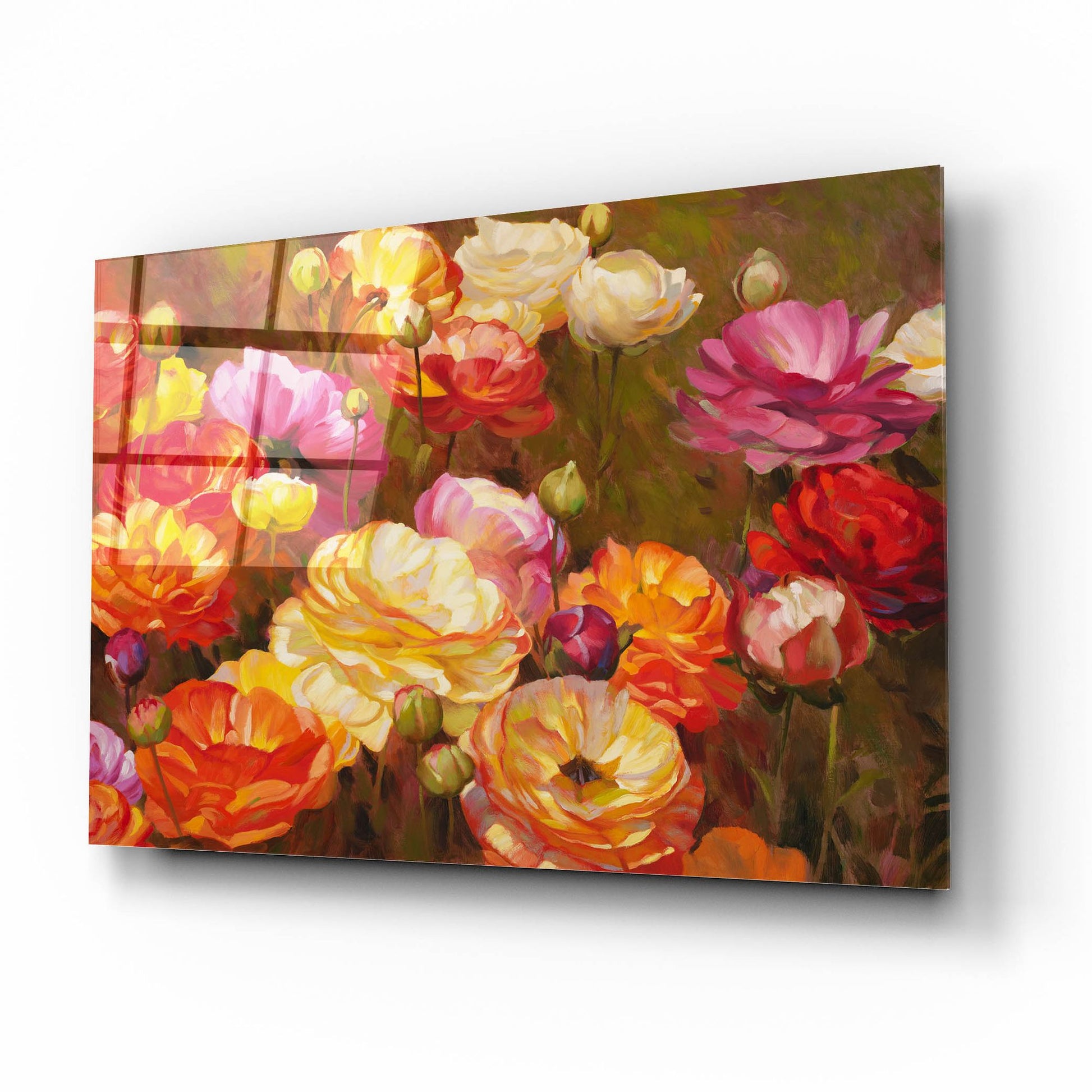 Epic Art ' Ranunculus Garden' by Emma Styles, Acrylic Glass Wall Art,16x12