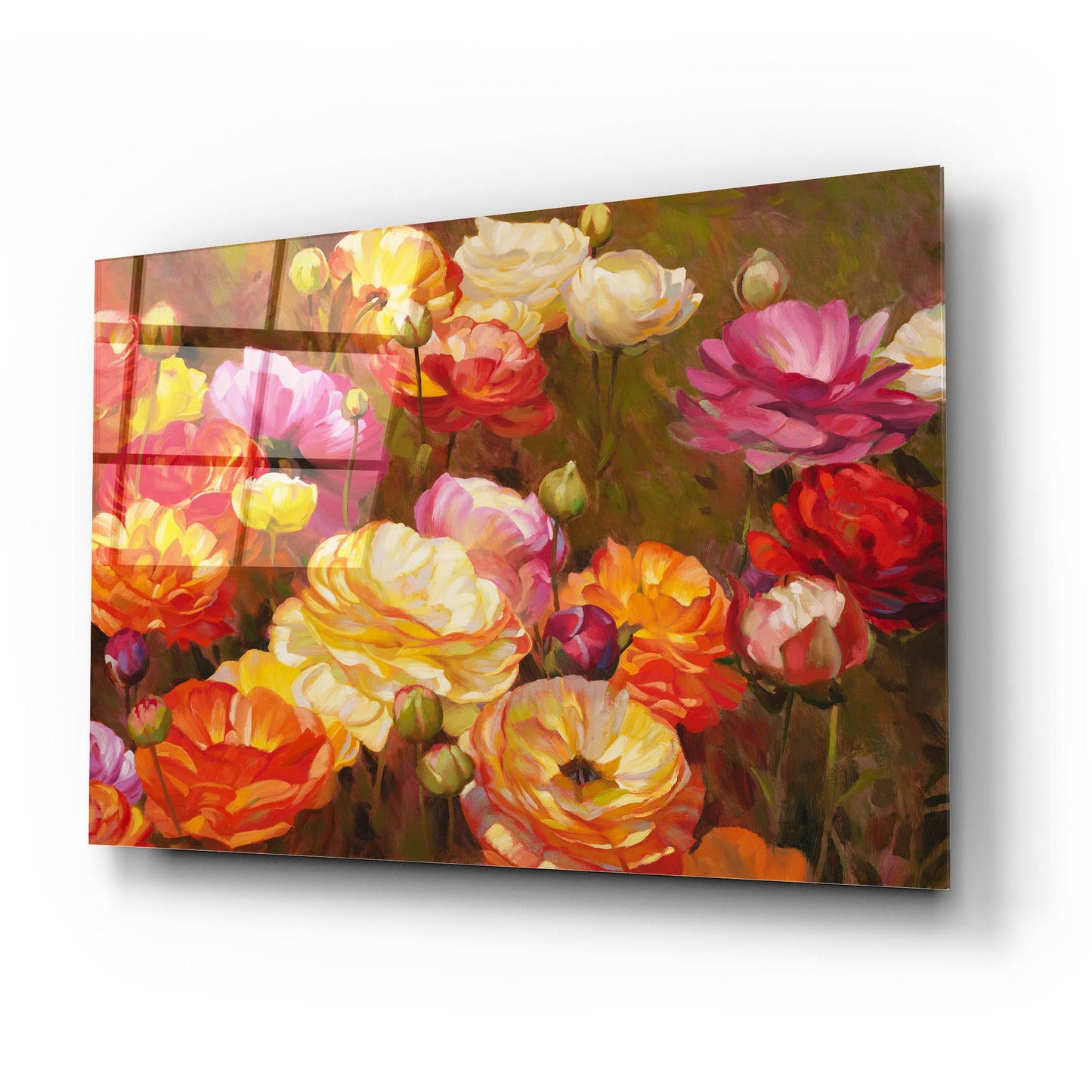 Epic Art ' Ranunculus Garden' by Emma Styles, Acrylic Glass Wall Art,24x16