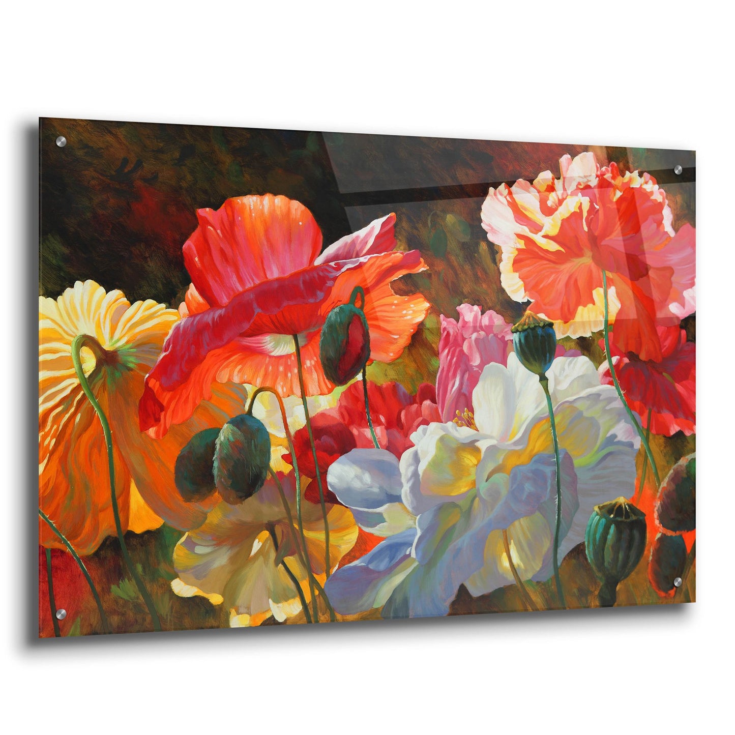 Epic Art ' Summer Radiance' by Emma Styles, Acrylic Glass Wall Art,36x24