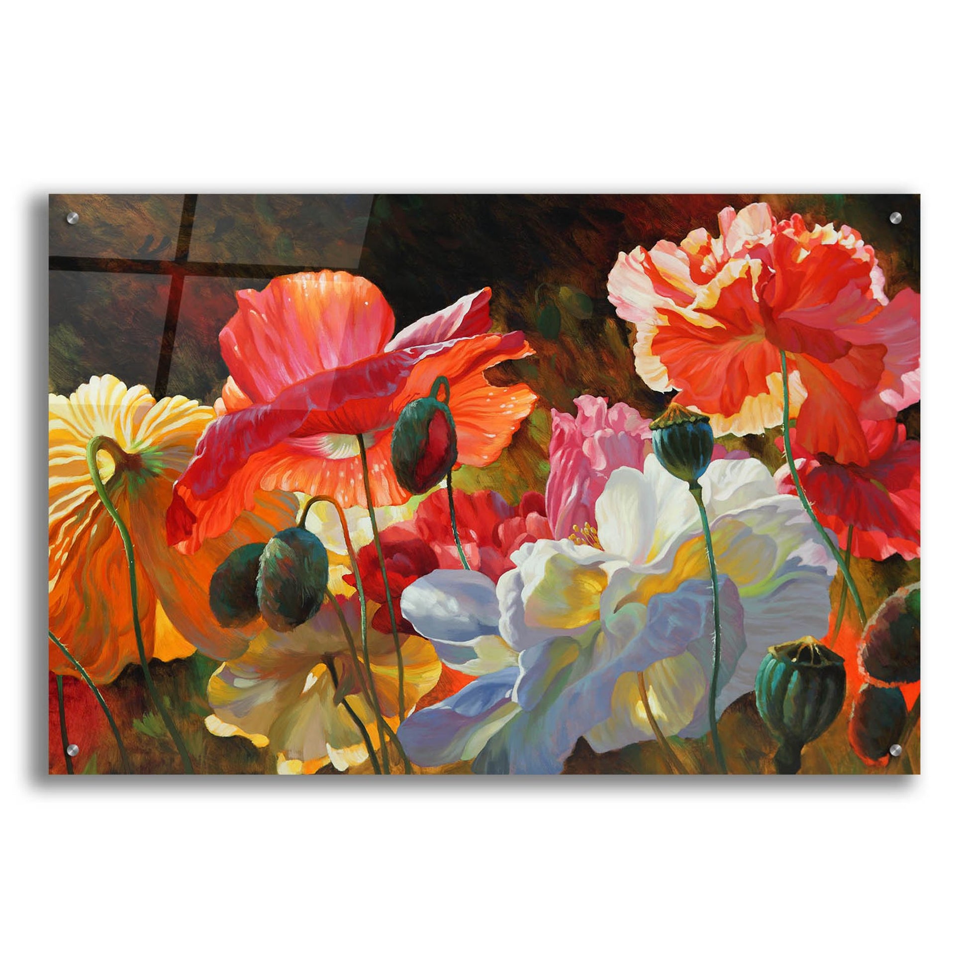 Epic Art ' Summer Radiance' by Emma Styles, Acrylic Glass Wall Art,36x24