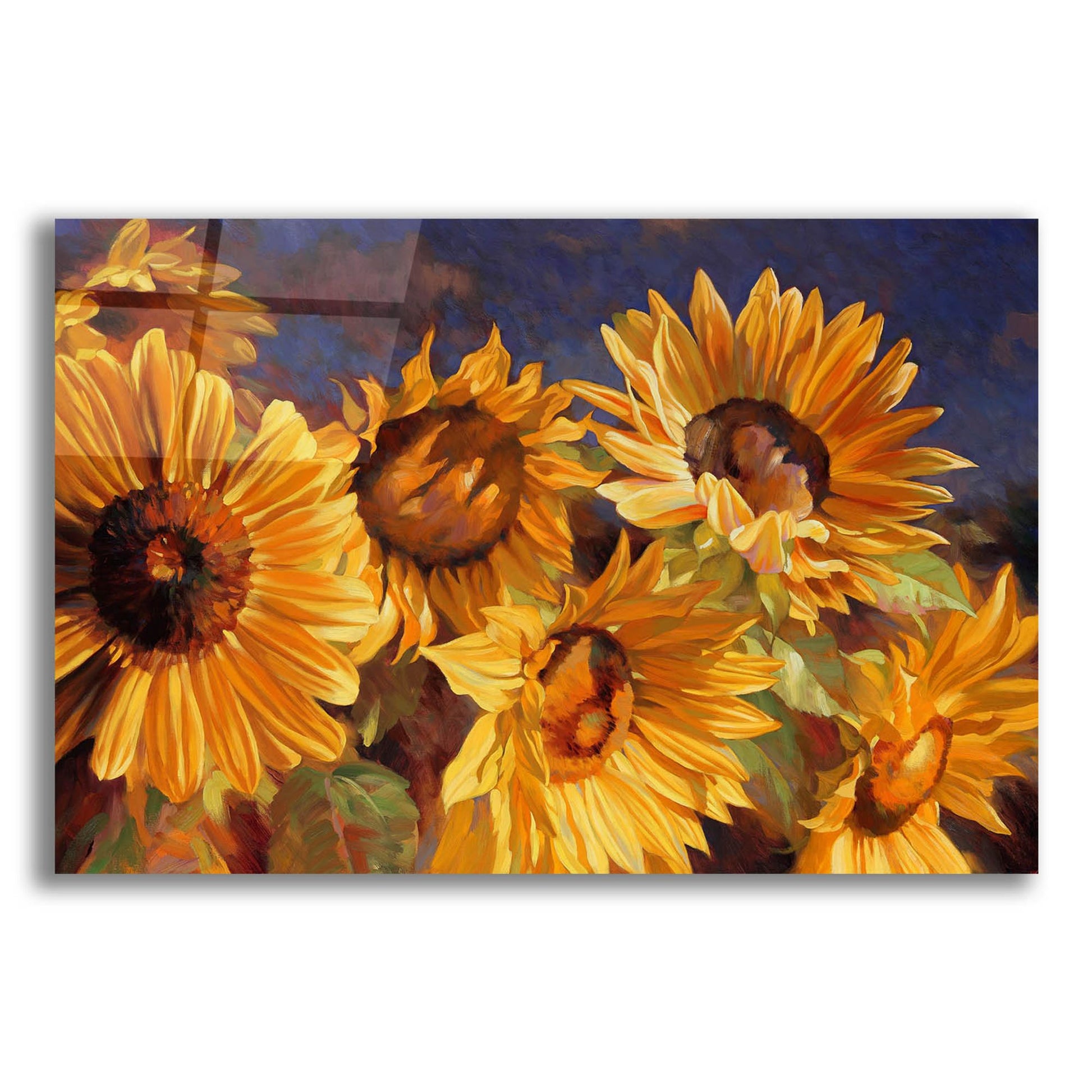 Epic Art ' Sunflower' by Emma Styles, Acrylic Glass Wall Art,16x12