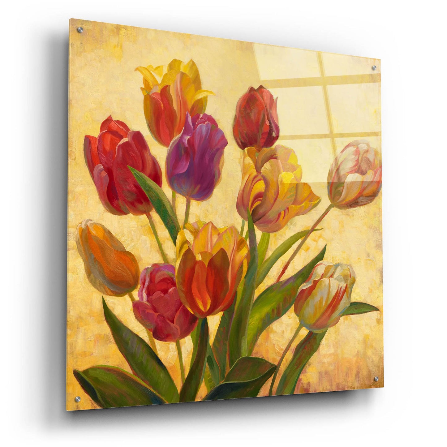 Epic Art ' Tulip Bouquet' by Emma Styles, Acrylic Glass Wall Art,36x36