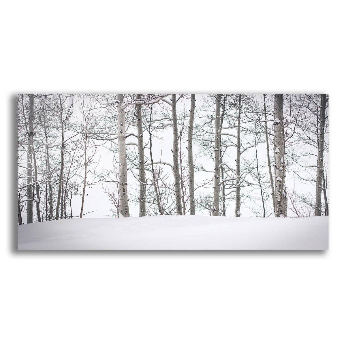 Epic Art ' Behind Cloister Doors' by Eunika Rogers, Acrylic Glass Wall Art