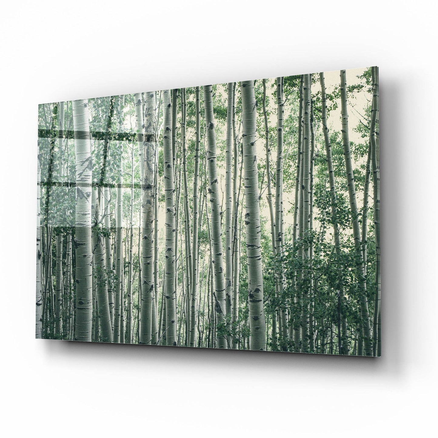 Epic Art ' Obscured by Alders' by Eunika Rogers, Acrylic Glass Wall Art,16x12