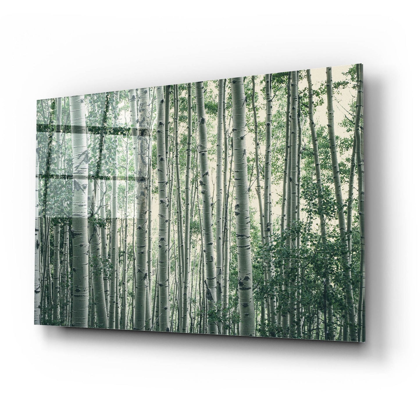 Epic Art ' Obscured by Alders' by Eunika Rogers, Acrylic Glass Wall Art,24x16