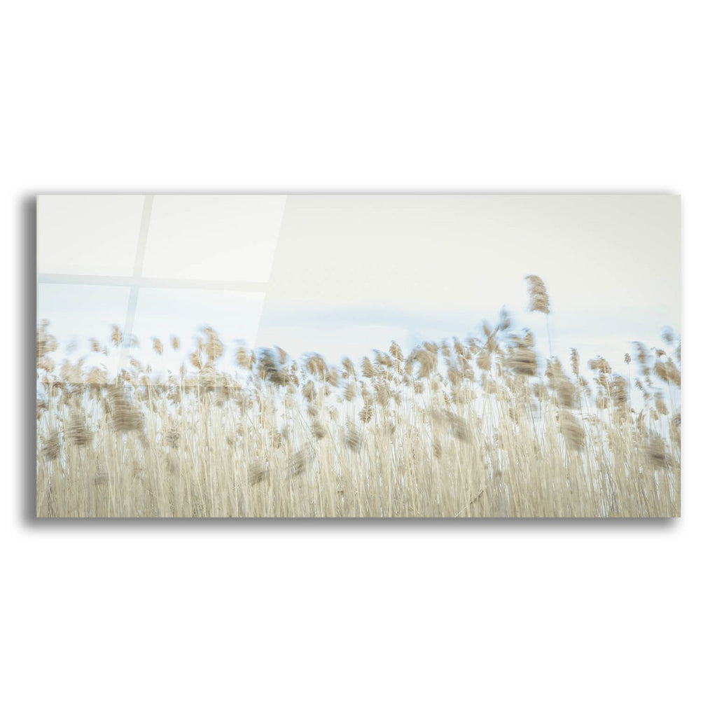 Epic Art ' Weaving Through Earth and Sky' by Eunika Rogers, Acrylic Glass Wall Art