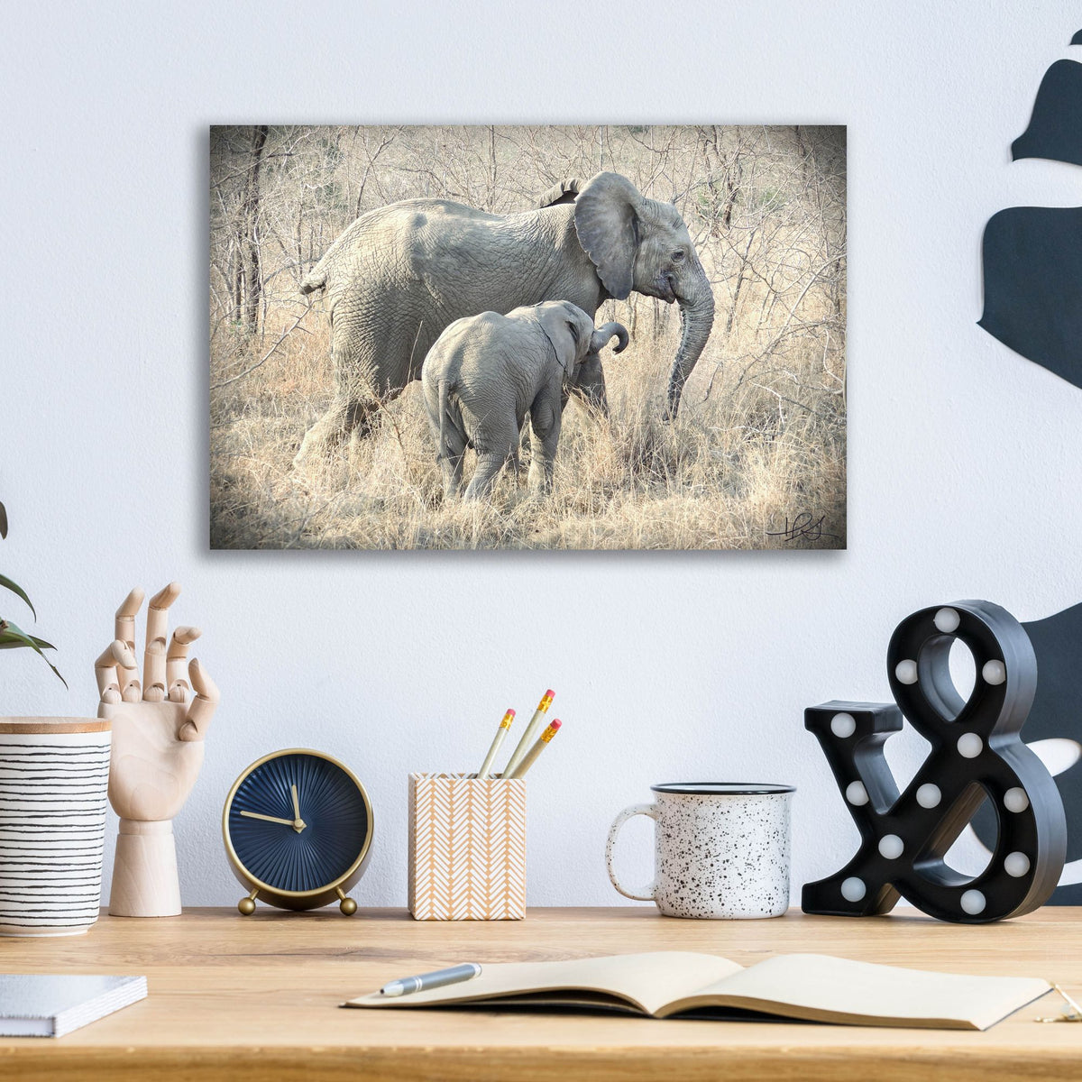 Epic Art ' Elephants' by Helene Sobol, Acrylic Glass Wall Art,16x12