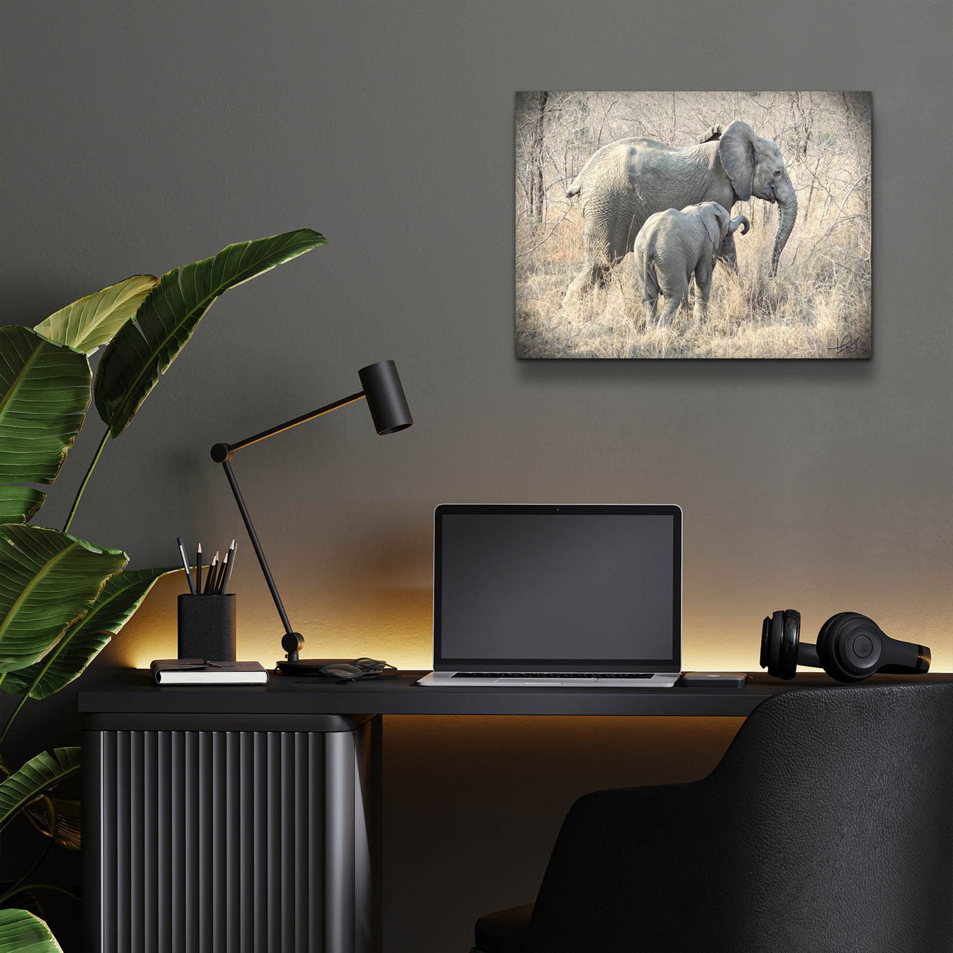 Epic Art ' Elephants' by Helene Sobol, Acrylic Glass Wall Art,16x12