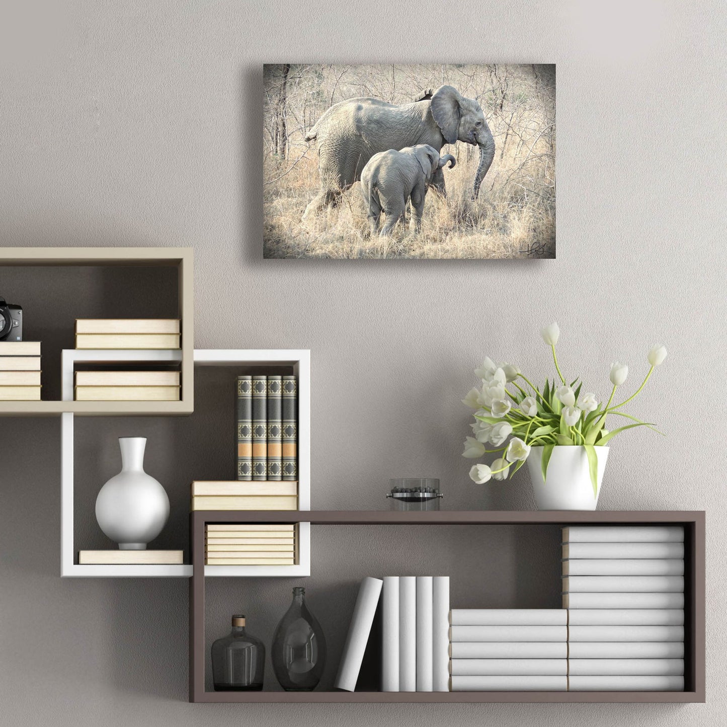 Epic Art ' Elephants' by Helene Sobol, Acrylic Glass Wall Art,24x16