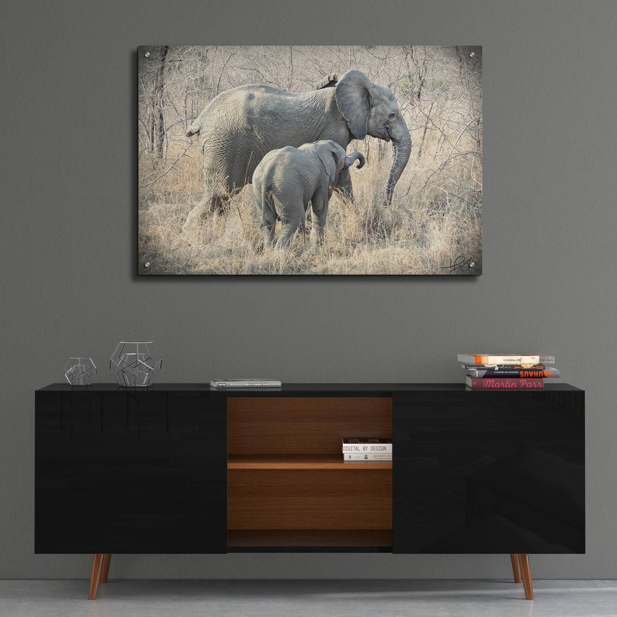 Epic Art ' Elephants' by Helene Sobol, Acrylic Glass Wall Art,36x24