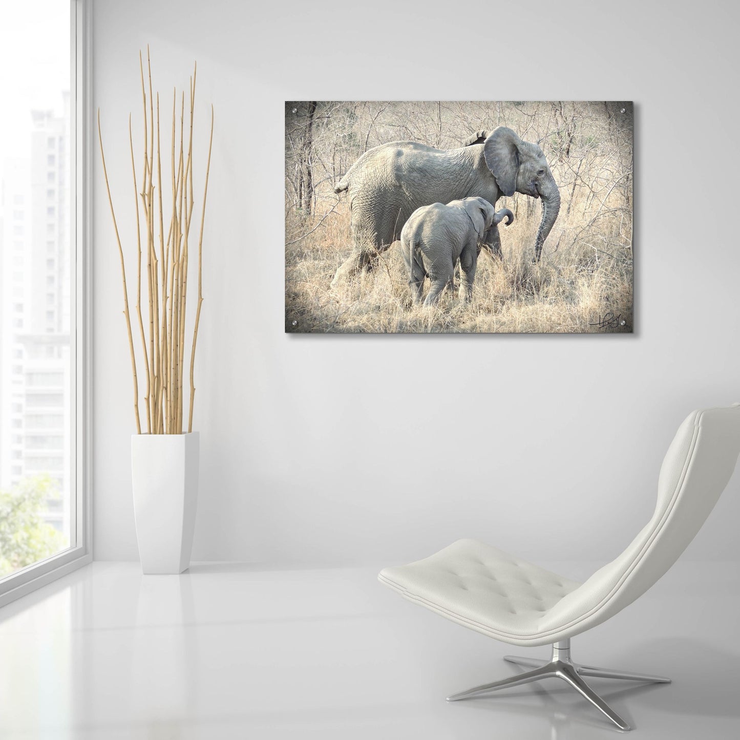 Epic Art ' Elephants' by Helene Sobol, Acrylic Glass Wall Art,36x24