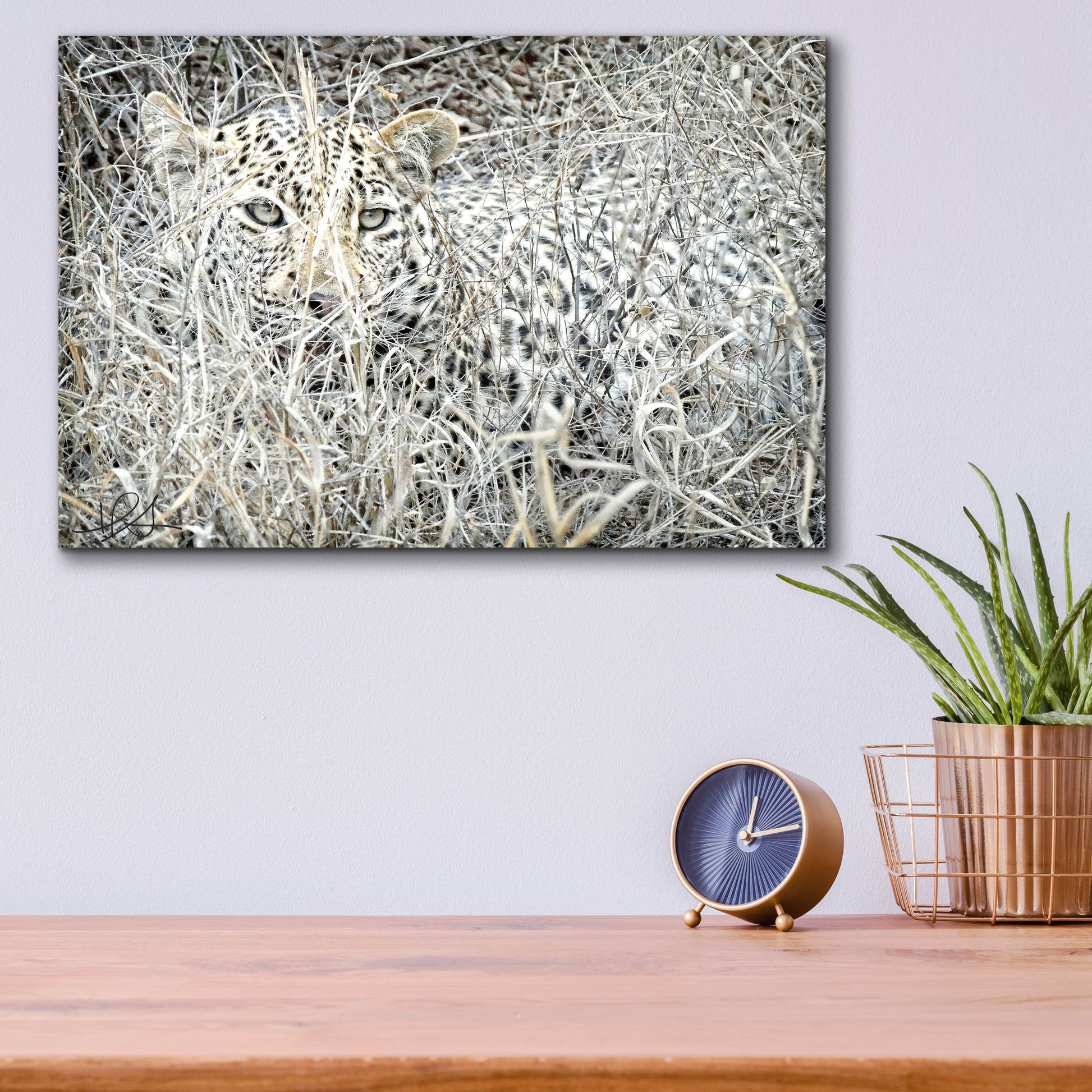 Epic Art ' Leopard' by Helene Sobol, Acrylic Glass Wall Art,16x12