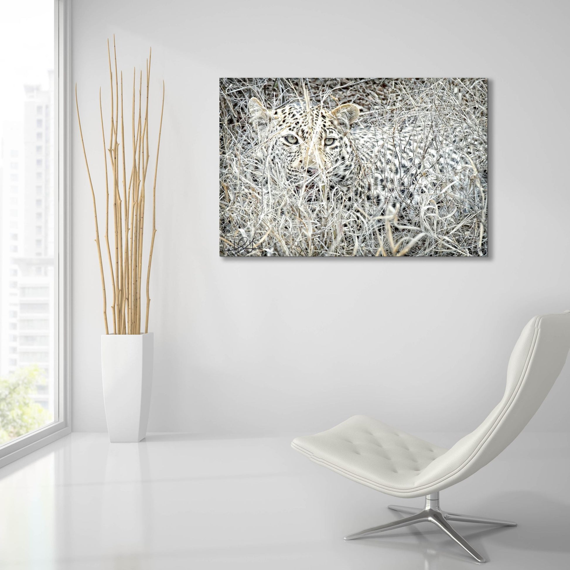 Epic Art ' Leopard' by Helene Sobol, Acrylic Glass Wall Art,36x24