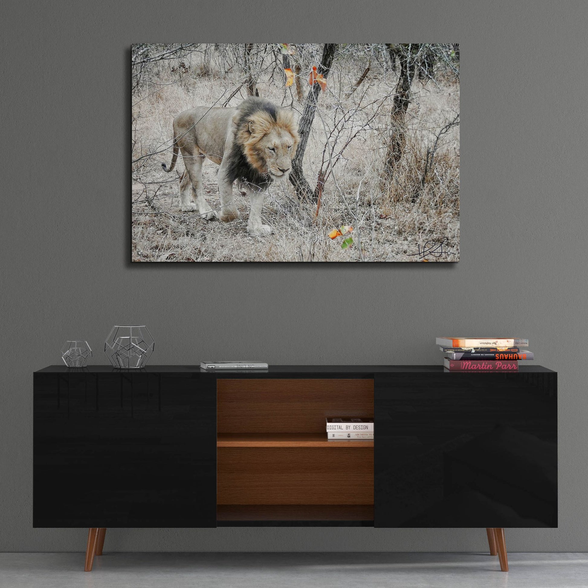 Epic Art ' Lion' by Helene Sobol, Acrylic Glass Wall Art,36x24