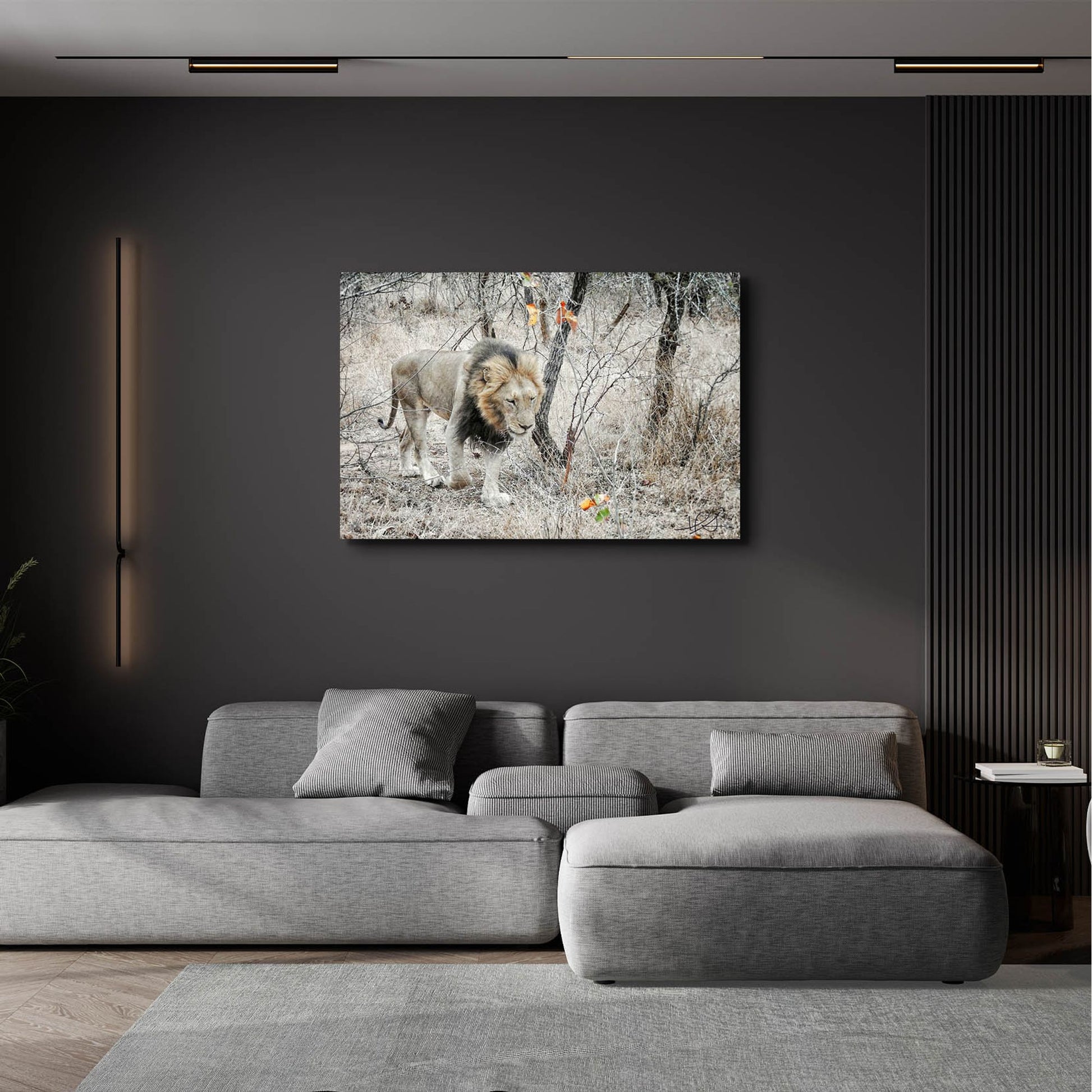 Epic Art ' Lion' by Helene Sobol, Acrylic Glass Wall Art,36x24