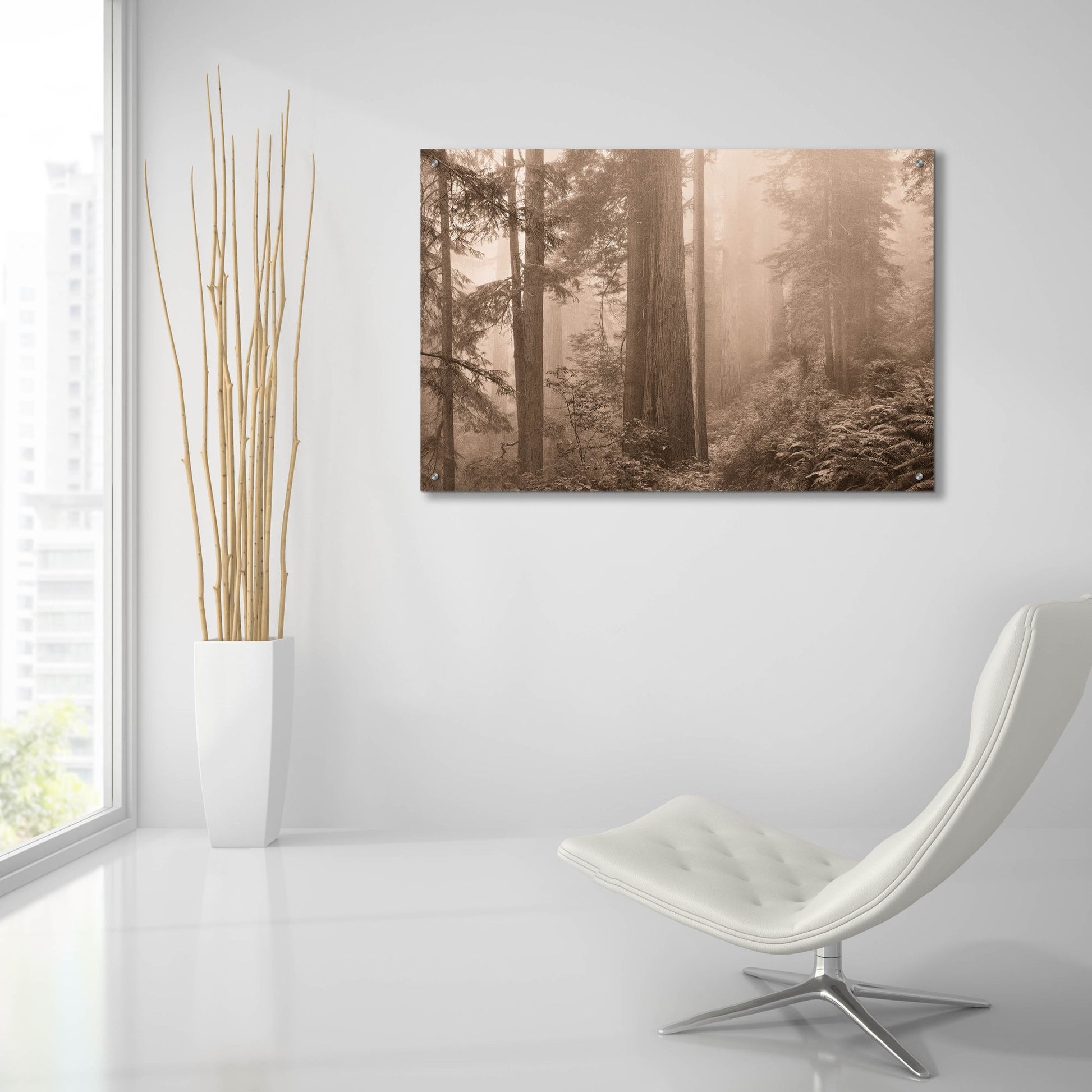 Epic Art ' Enchanted Forest II' by Igor Svibilsky, Acrylic Glass Wall Art,36x24