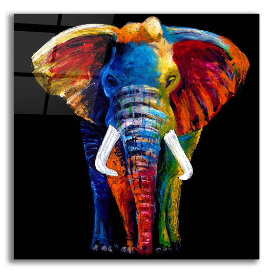 Epic Art ' Great Elephant' by Incado, Acrylic Glass Wall Art