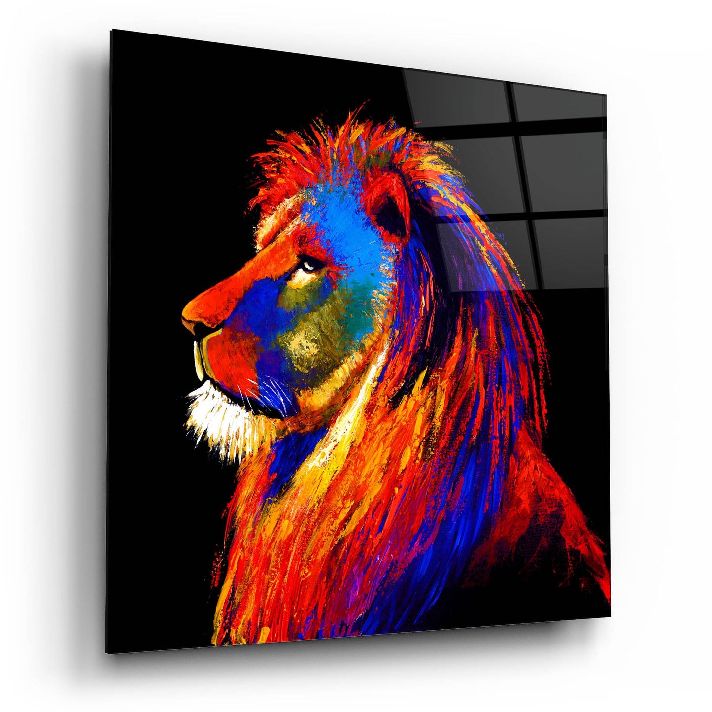 Epic Art ' The Lion' by Incado, Acrylic Glass Wall Art,12x12