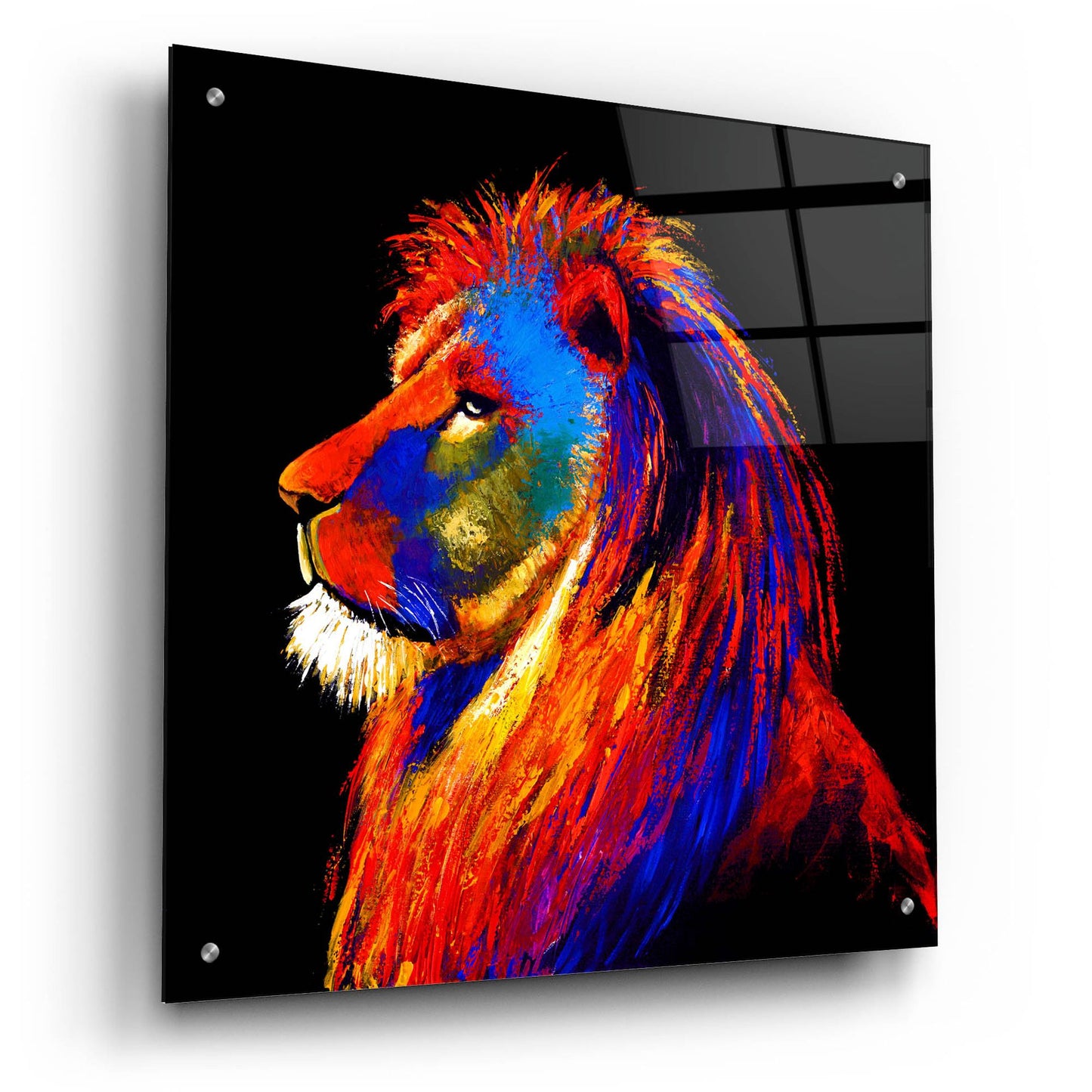 Epic Art ' The Lion' by Incado, Acrylic Glass Wall Art,24x24