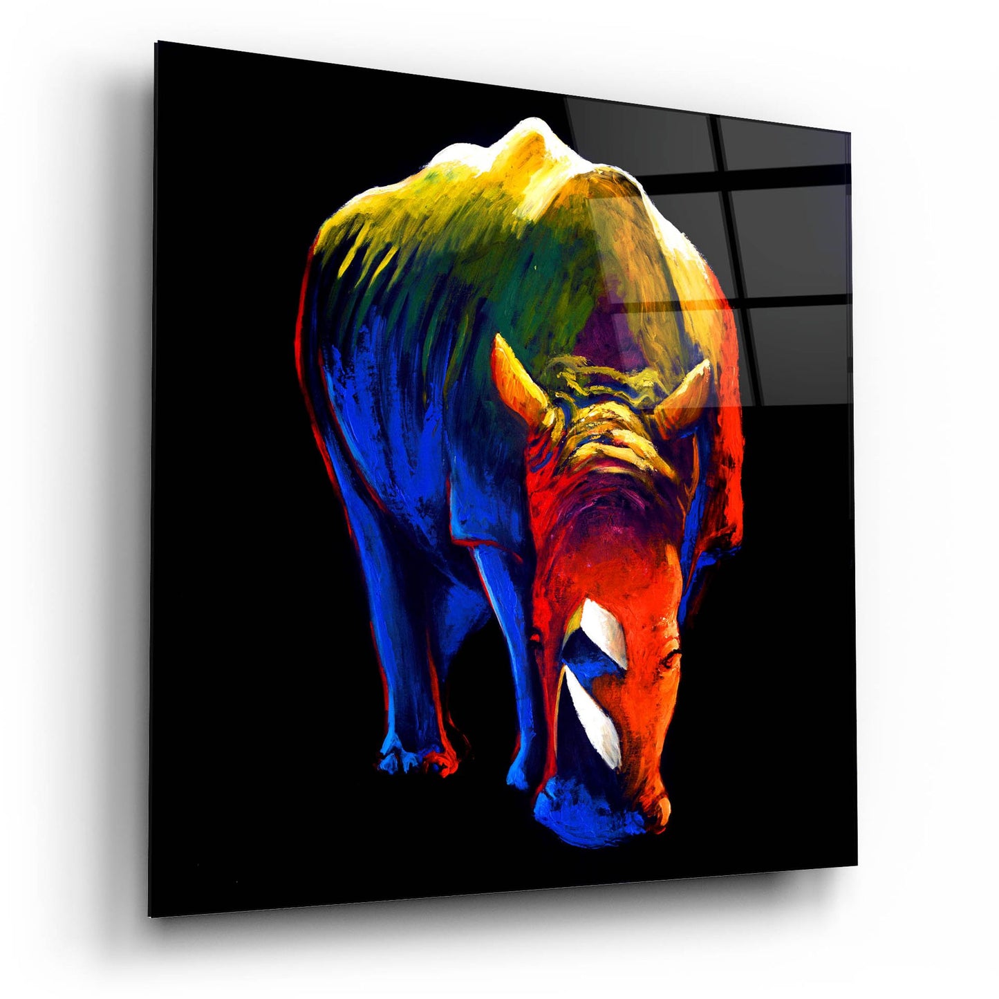 Epic Art ' The Rhino' by Incado, Acrylic Glass Wall Art,12x12