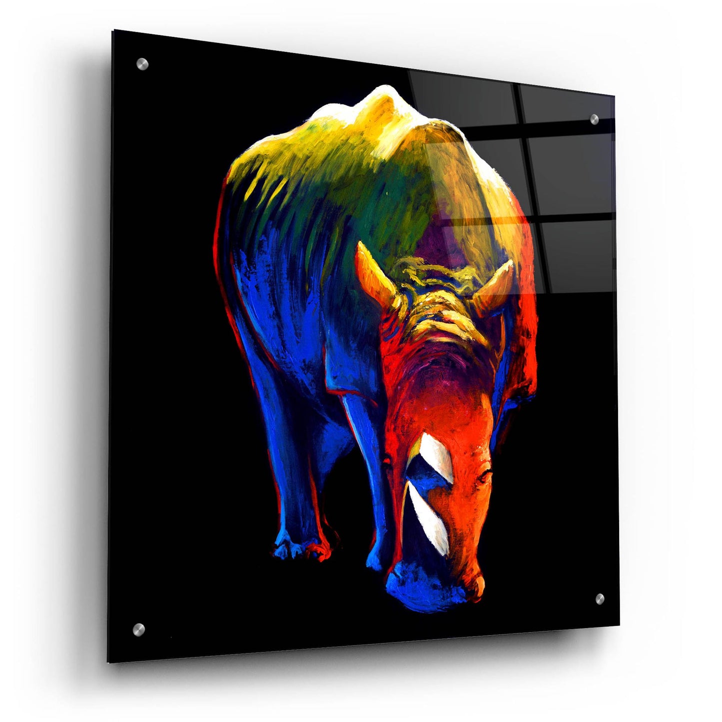 Epic Art ' The Rhino' by Incado, Acrylic Glass Wall Art,24x24