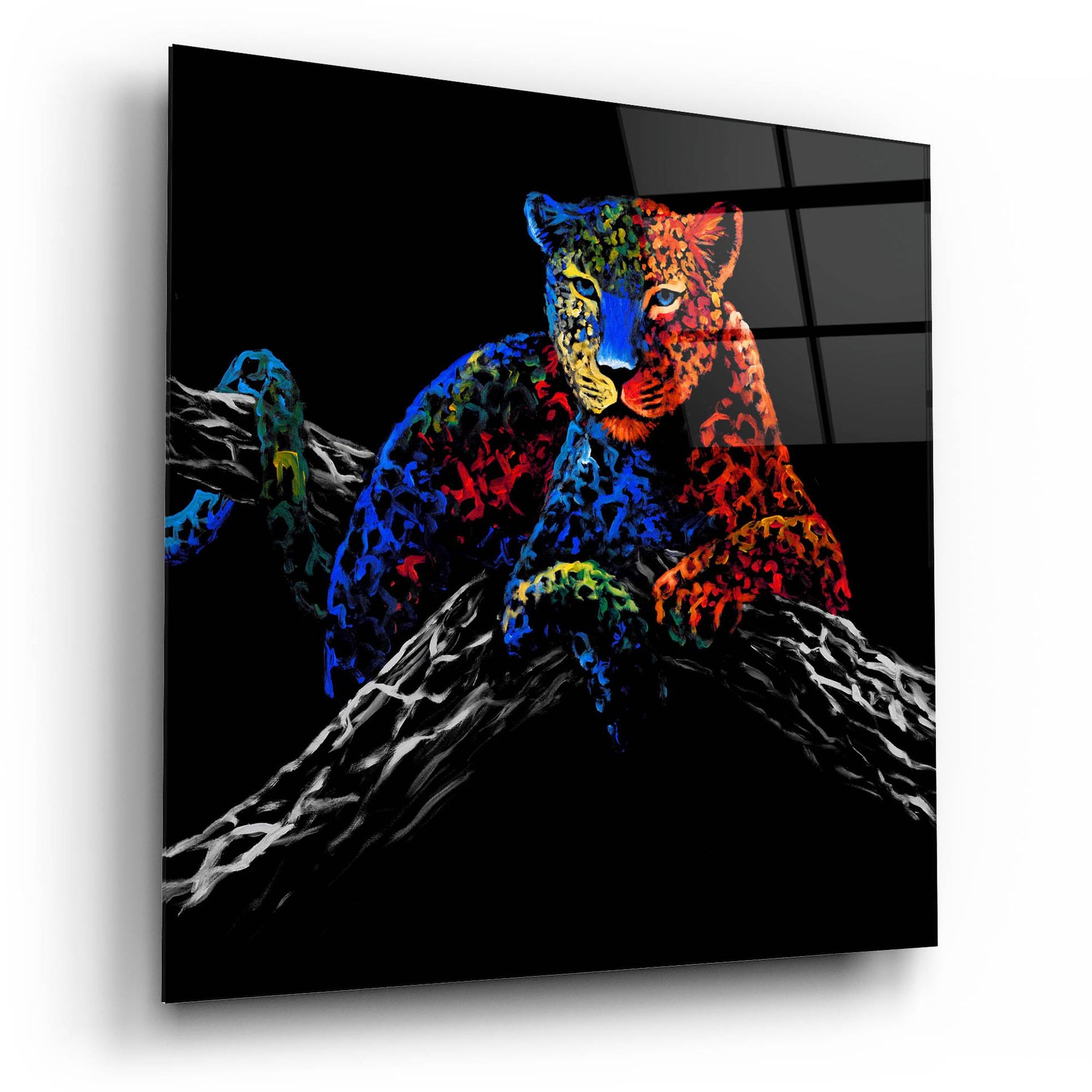 Epic Art ' The Cheetah' by Incado, Acrylic Glass Wall Art,12x12