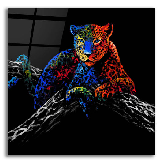 Epic Art ' The Cheetah' by Incado, Acrylic Glass Wall Art
