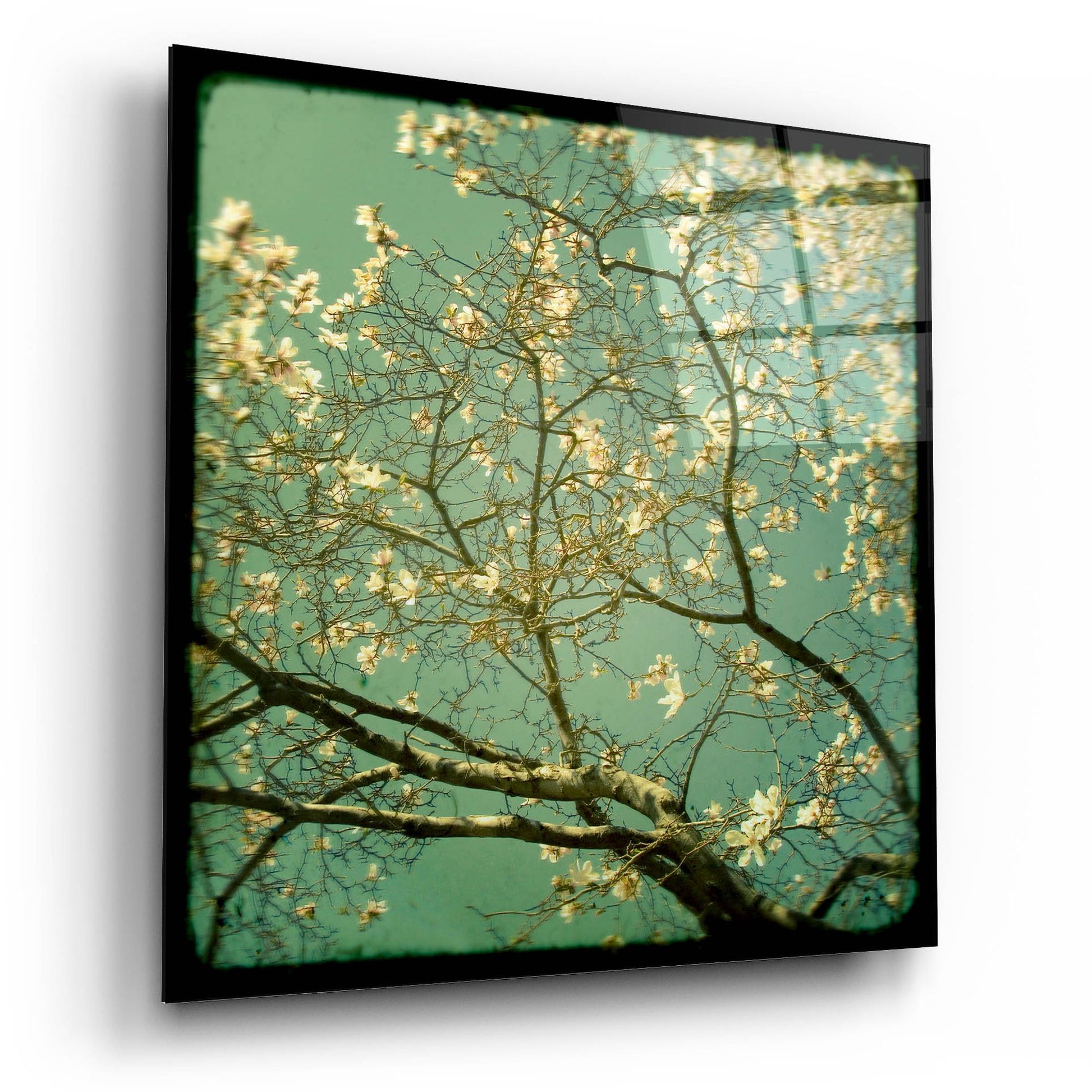 Epic Art ' Reach' by Irene Suchocki, Acrylic Glass Wall Art,12x12